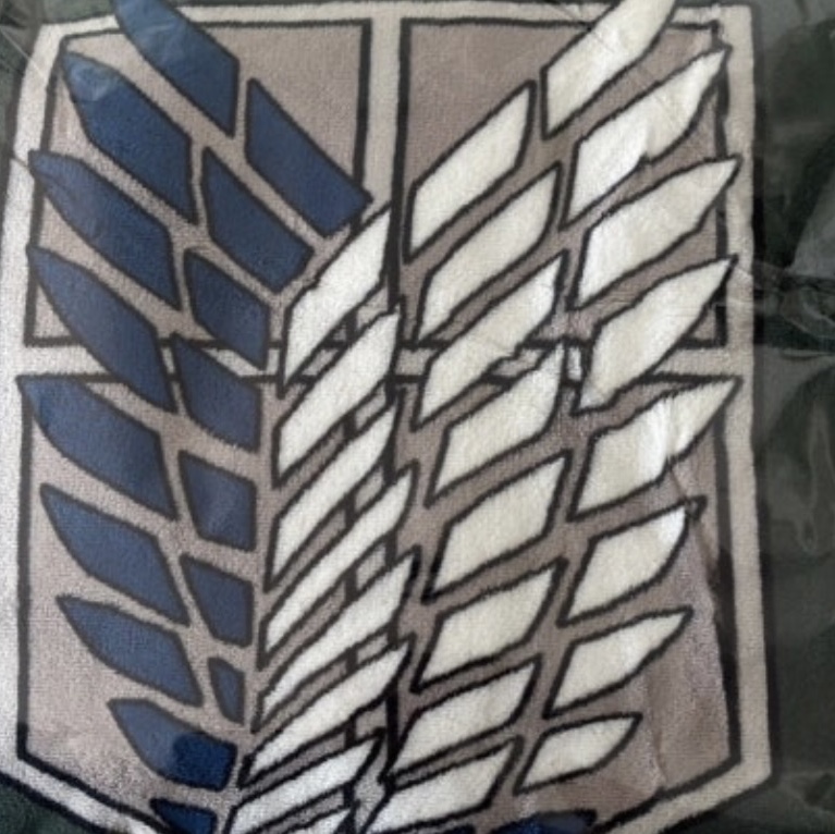 Frank Burger × Attack On Titan Scouting Legion Cloak Blanket 착용 스타일 - 1