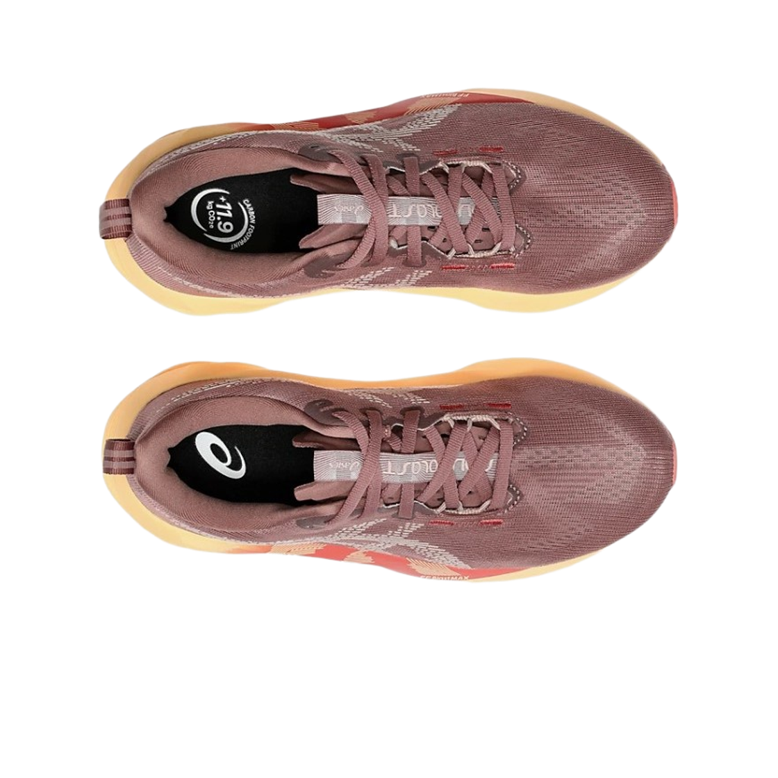 (W) 아식스 노바블라스트 5 루블 레드 펀((W) Asics Novablast 5 Rubble Red Fawn) - 2