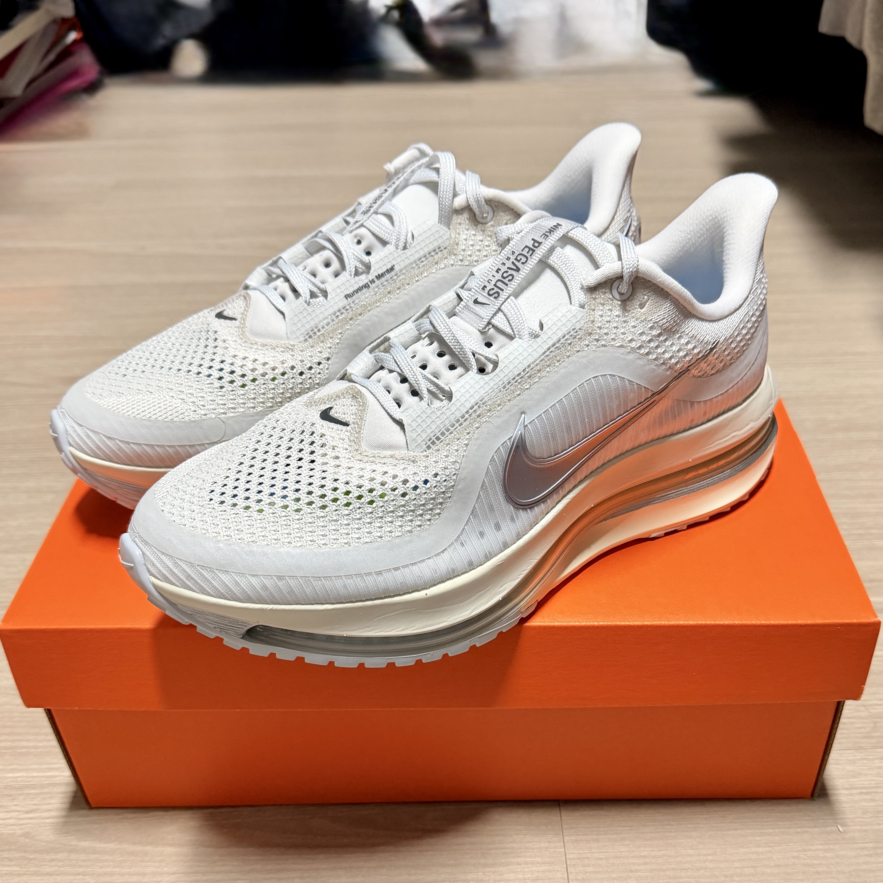 Nike Air Zoom Pegasus Premium Platinum Tint Reflect Silver 착용 스타일 - 1