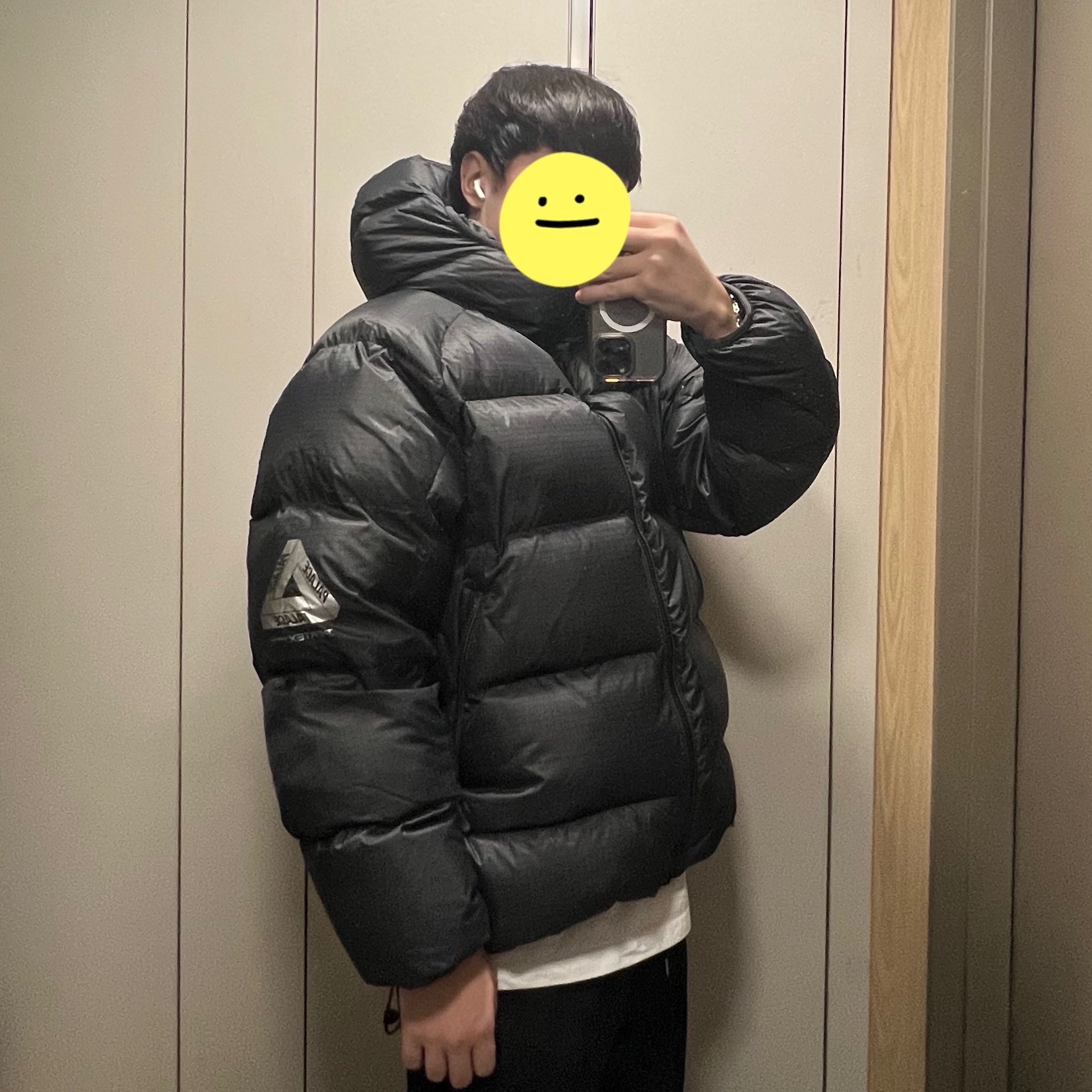 Palace Pertex Quantum RS Puffa Black - 25FW 착용 스타일