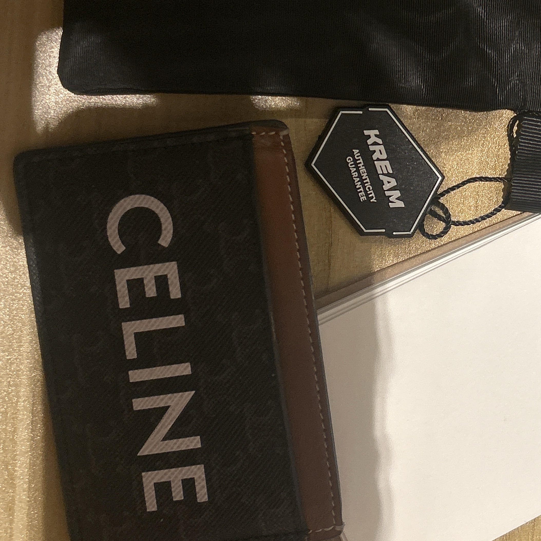 Celine Card Holder in Triomphe Canvas with Celine Print Tan 착용 스타일 - 2