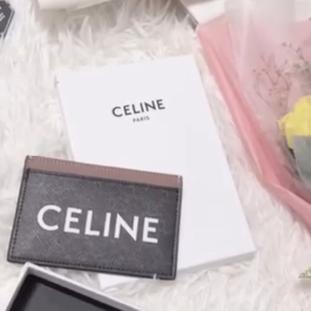 Celine Card Holder in Triomphe Canvas with Celine Print Tan 착용 스타일 - 1