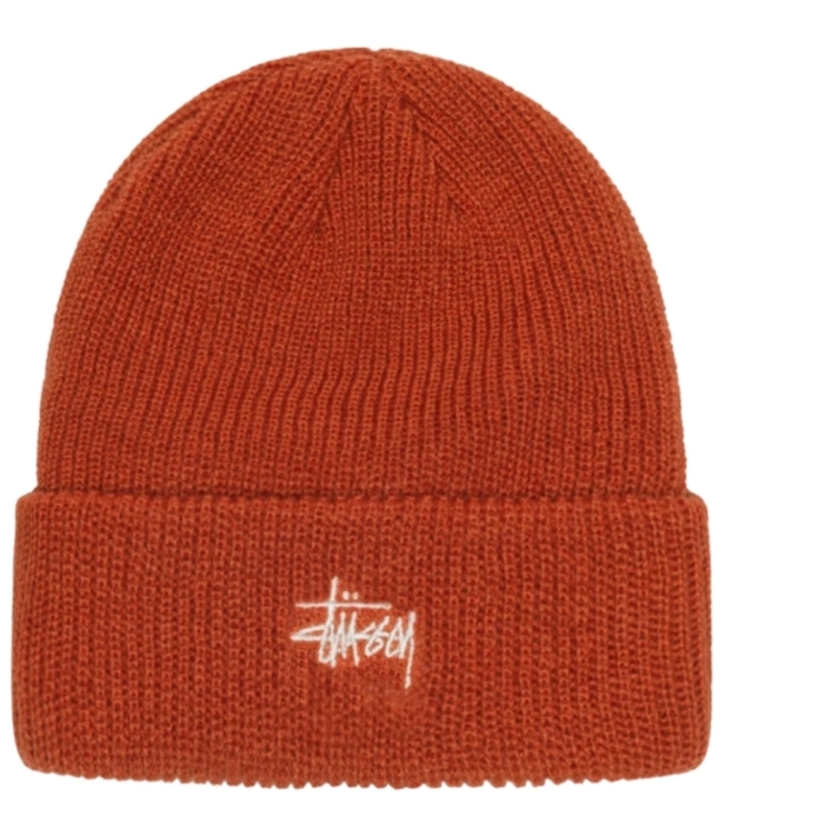 Stussy Basic Cuff Beanie Tiger 착용 스타일