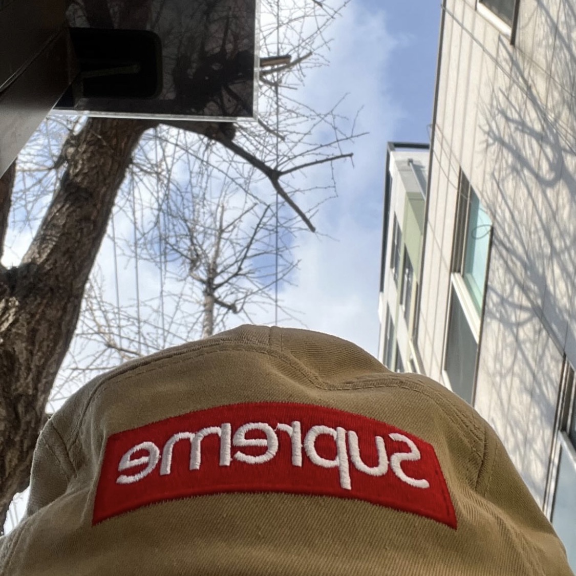 Supreme Washed Chino Twill Camp Cap Tan - 25FW 착용 스타일