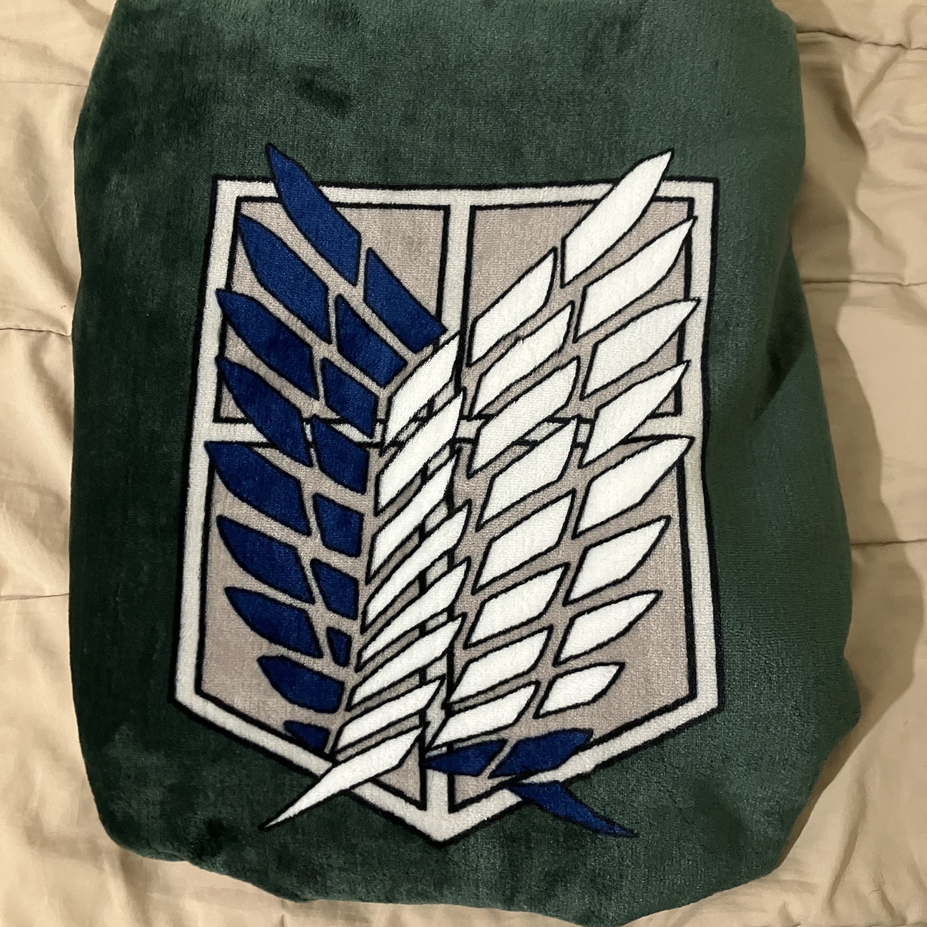 Frank Burger × Attack On Titan Scouting Legion Cloak Blanket 착용 스타일