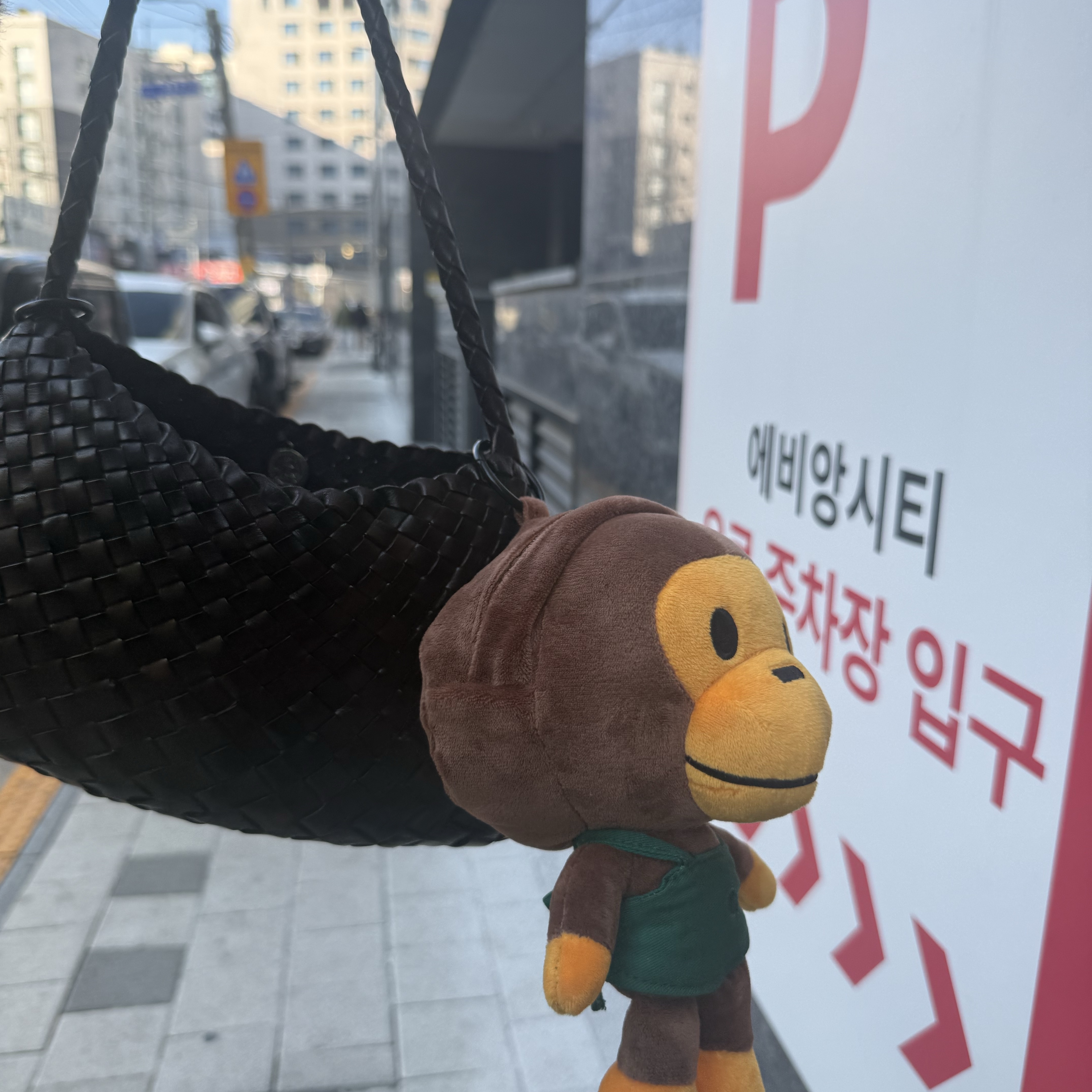 Starbucks x BAPE Baby Milo Foldable Bag 착용 스타일