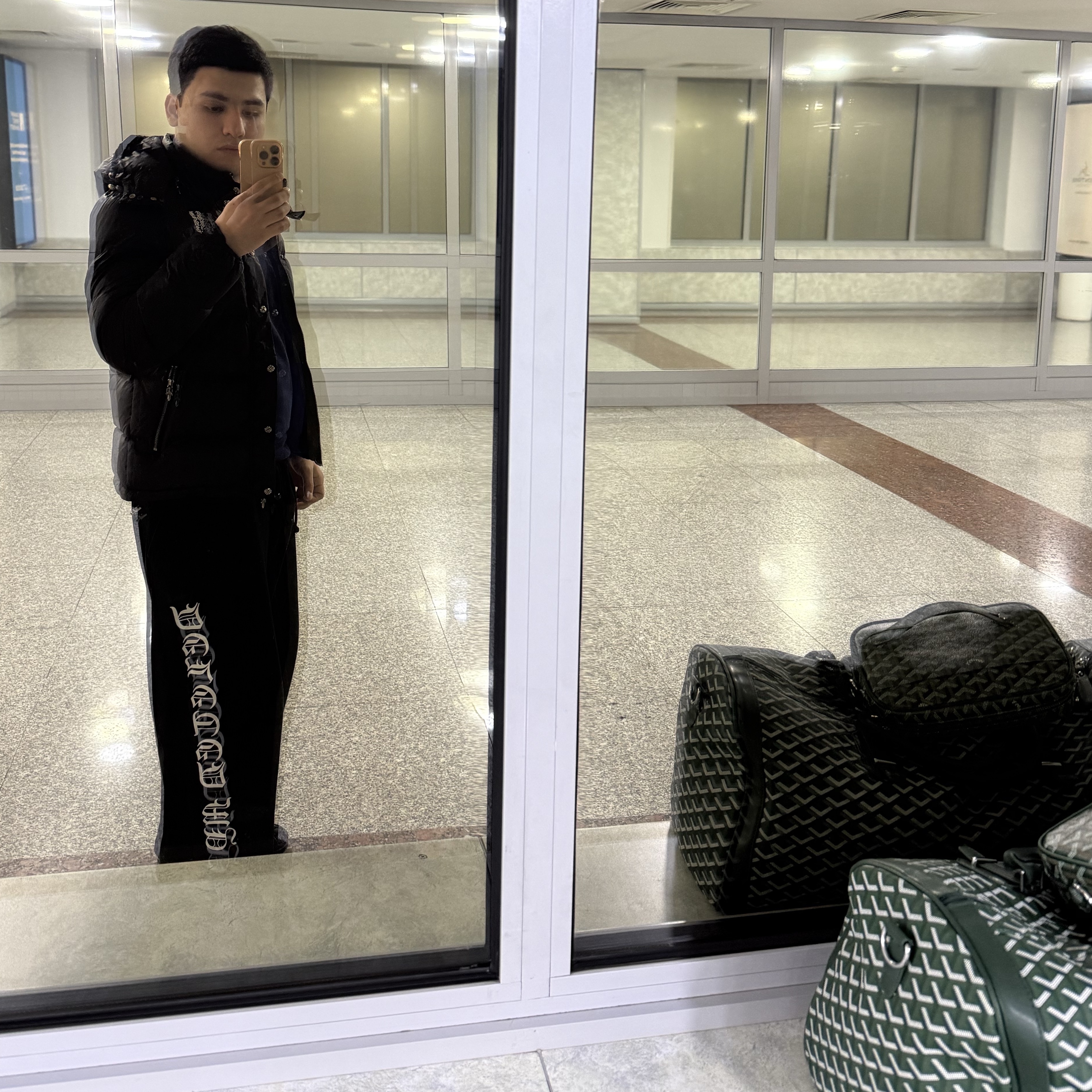 Goyard Boston 50 Bag Green, Goyard Belvedere MM Bag Green 착용 스타일