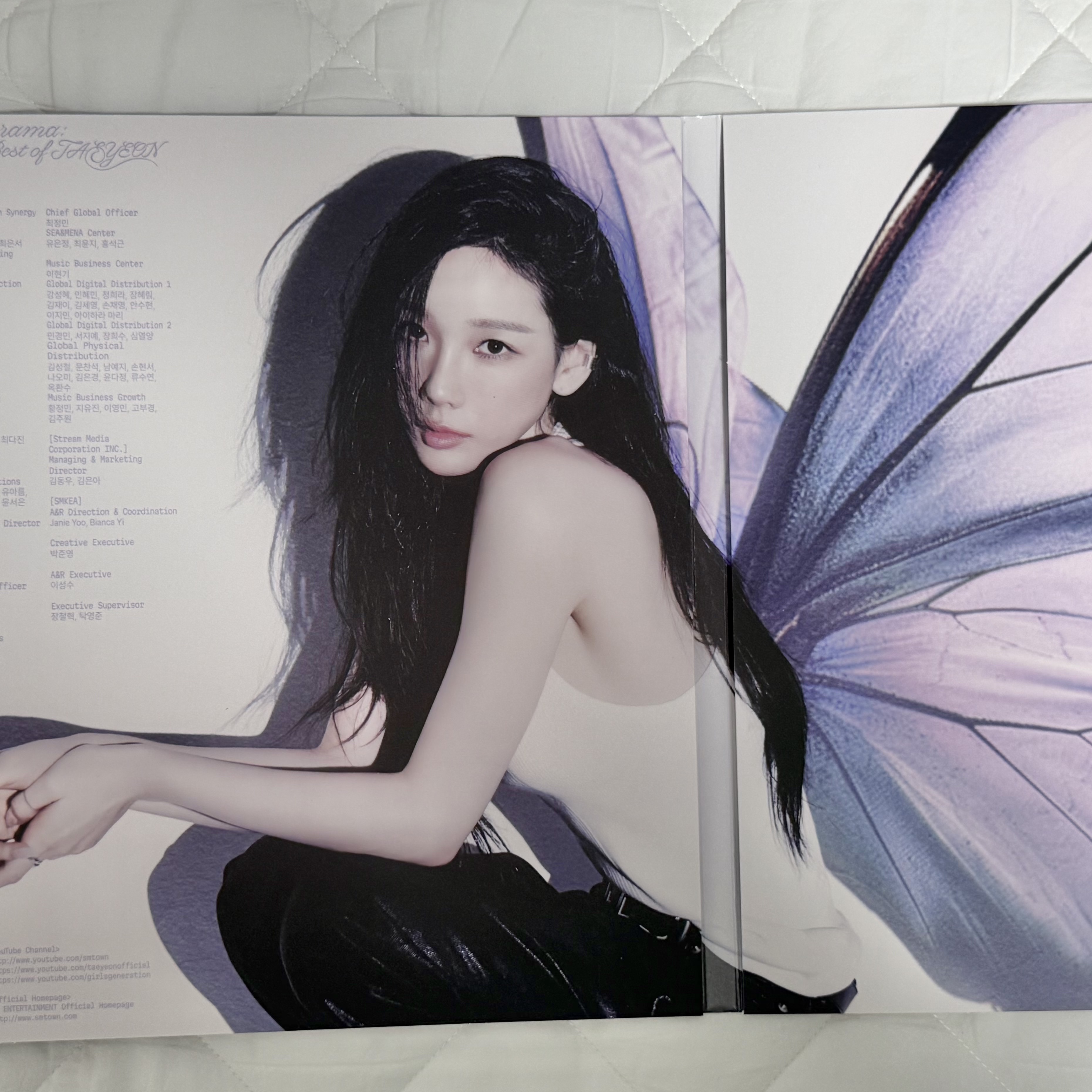 Taeyeon Panorama The Best of Taeyeon LP Purple (2LP) 착용 스타일 - 1