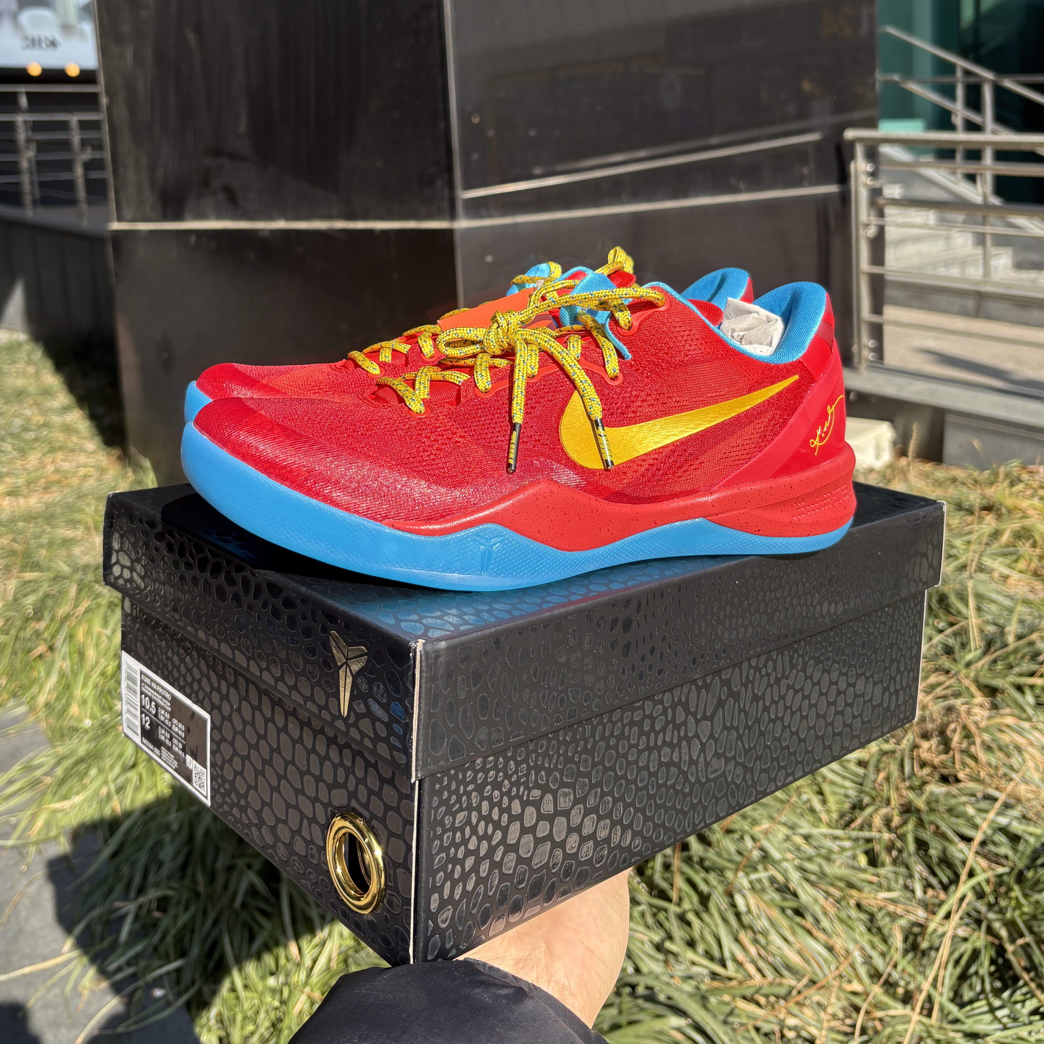 Nike Kobe 8 Protro Year of the Horse Light Crimson and Vivid Blue 착용 스타일