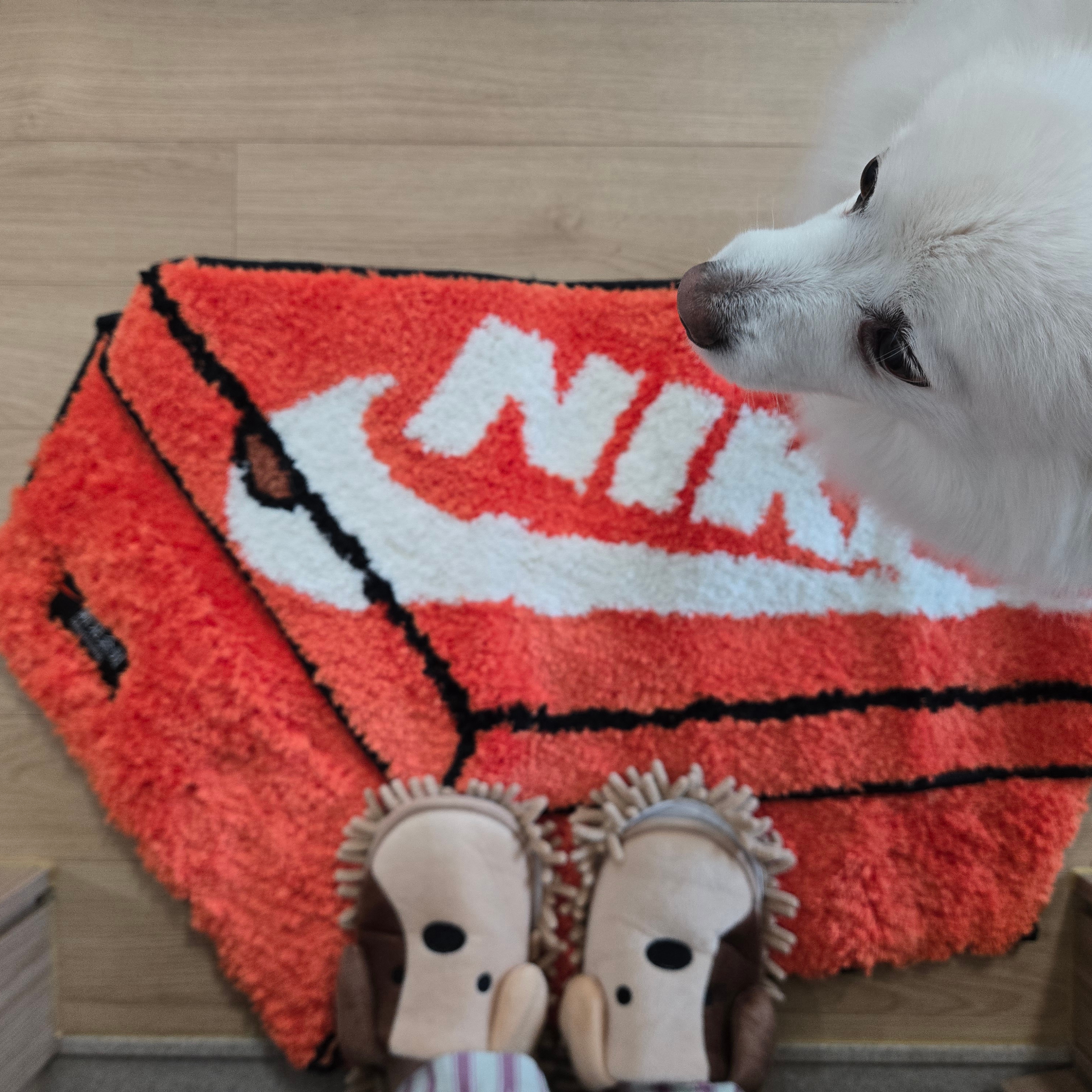 Nike Box Rugmat Orange 착용 스타일 - 2