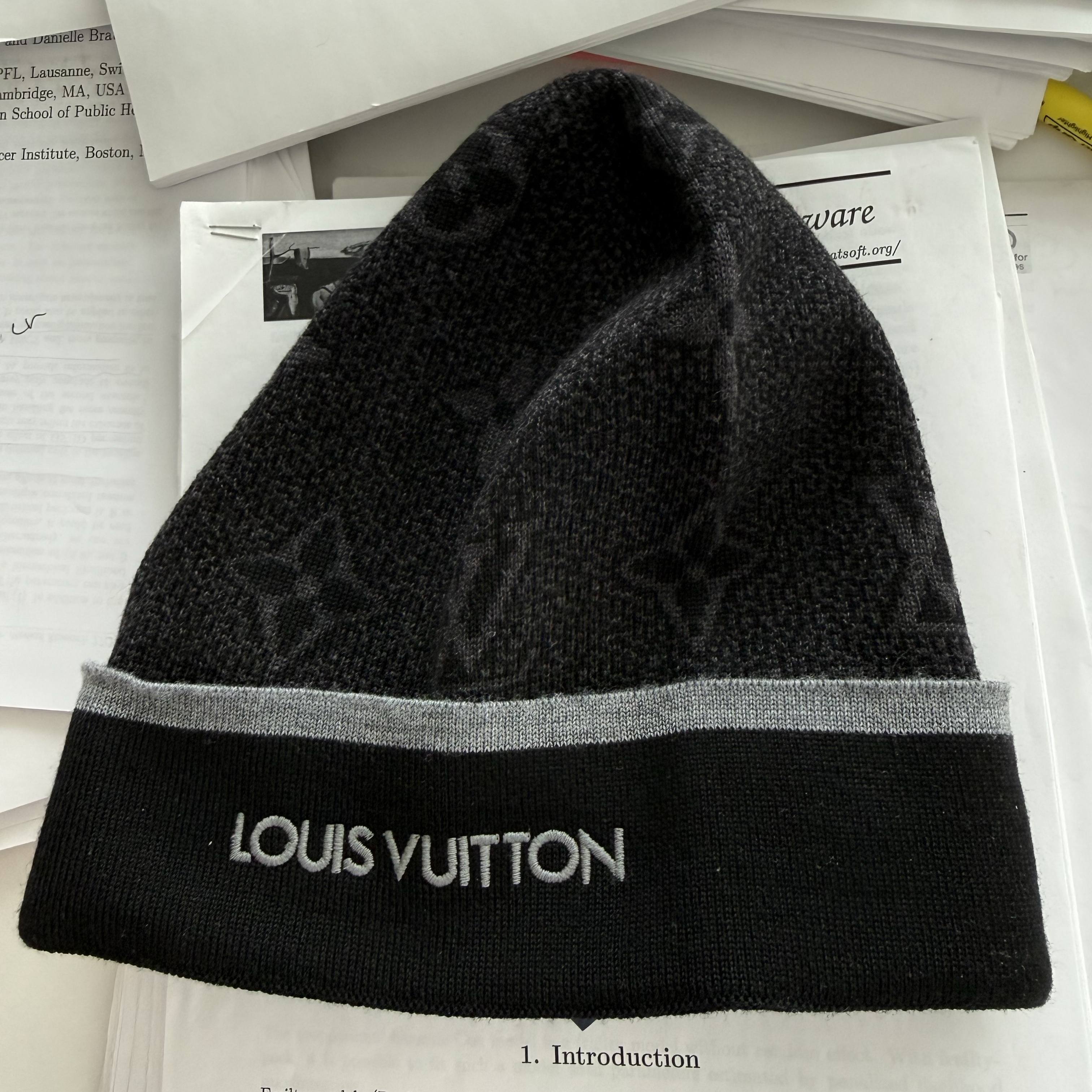 Louis Vuitton Beanie Damoflage 착용 스타일