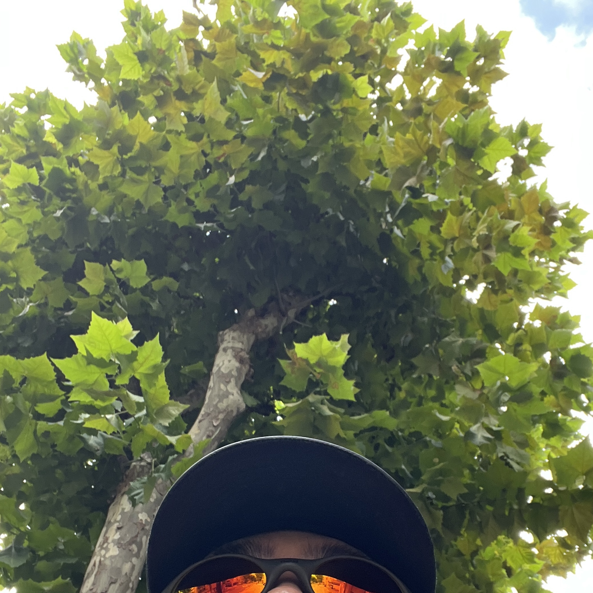 Oakley x Satisfy Eye Jacket Matte Olive 착용 스타일