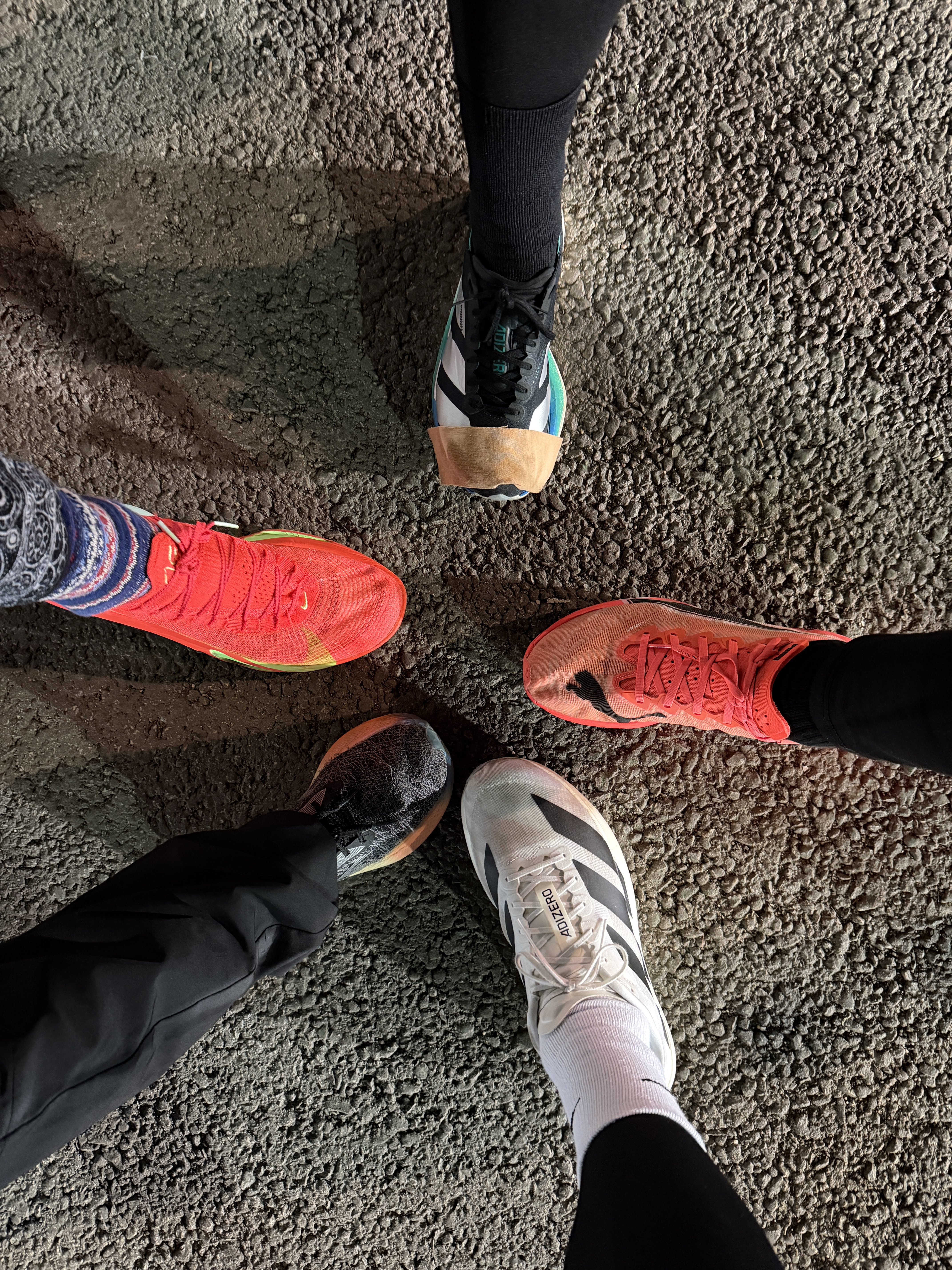 Adidas Adizero EVO SL Cloud White Core Black, Nike Air Zoom Alphafly Next% 3 Bright Crimson Lime Blast 착용 스타일