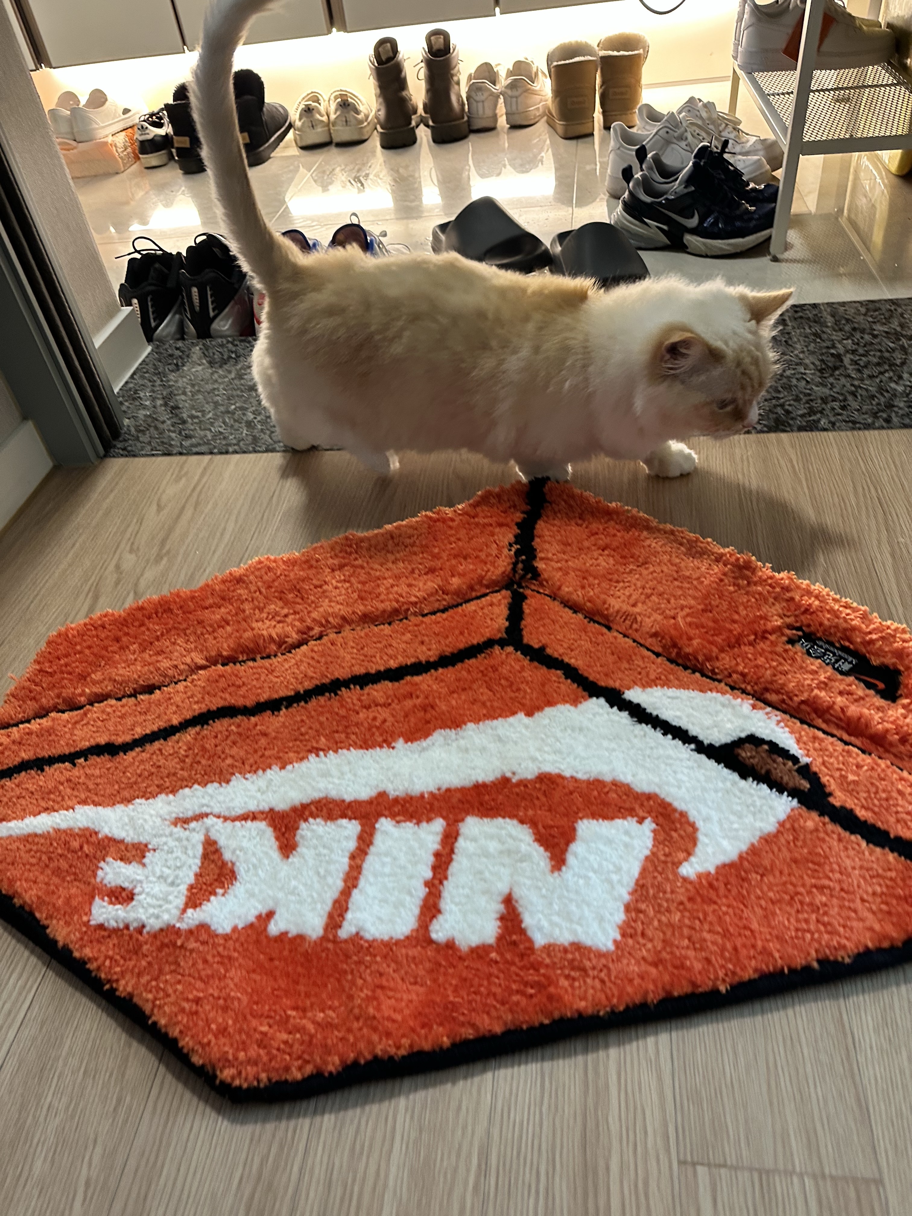 Nike Box Rugmat Orange 착용 스타일