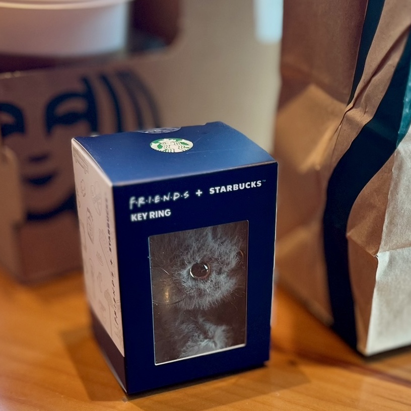 Starbucks x Friends Smelly Cat Keychain 착용 스타일 - 2