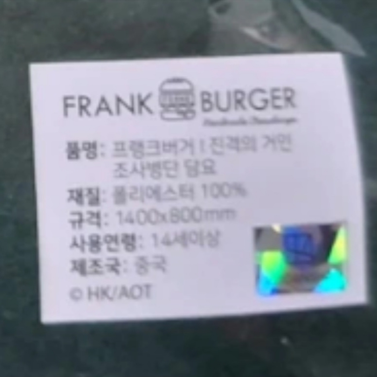 Frank Burger × Attack On Titan Scouting Legion Cloak Blanket 착용 스타일 - 2