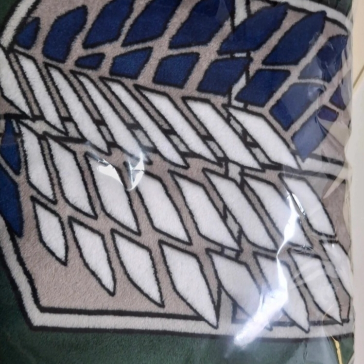 Frank Burger × Attack On Titan Scouting Legion Cloak Blanket 착용 스타일 - 1