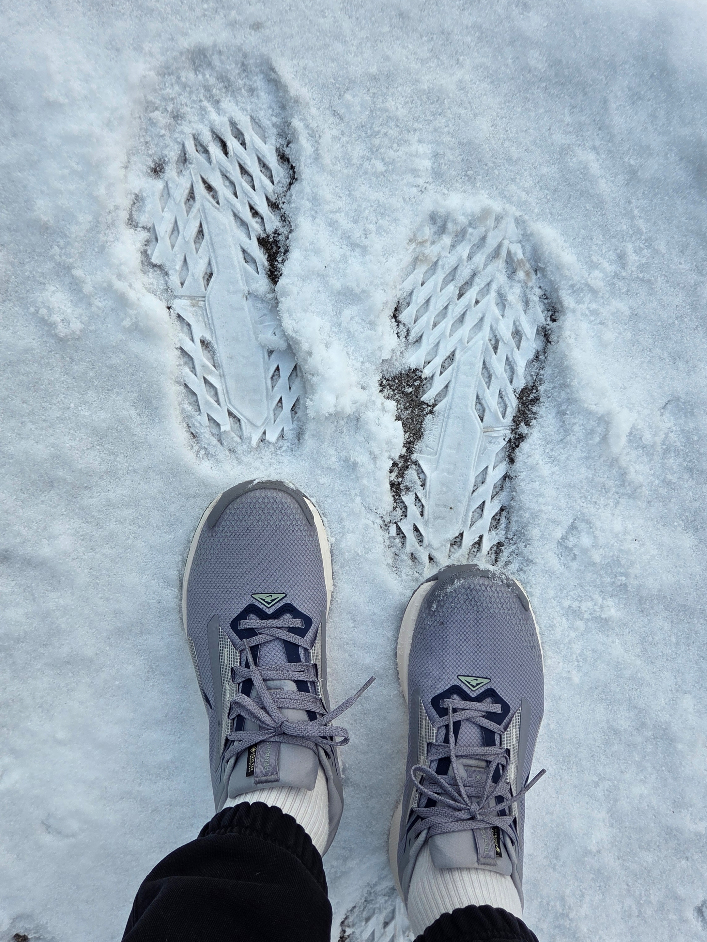 Nike Pegasus Trail 5 Gore-Tex Cement Grey Jade Horizon 착용 스타일