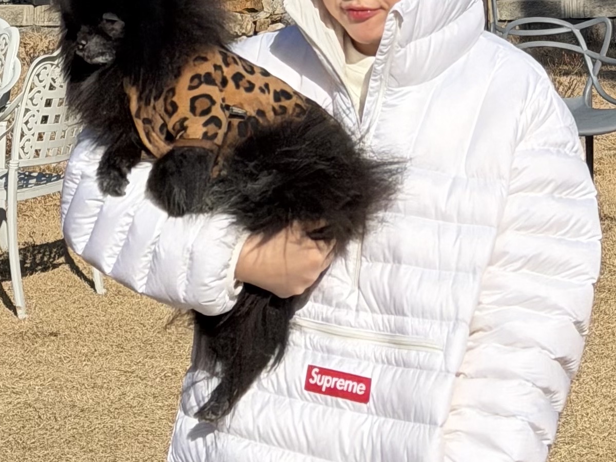 Supreme Micro Down Half Zip Hooded Pullover White - 23FW 착용 스타일