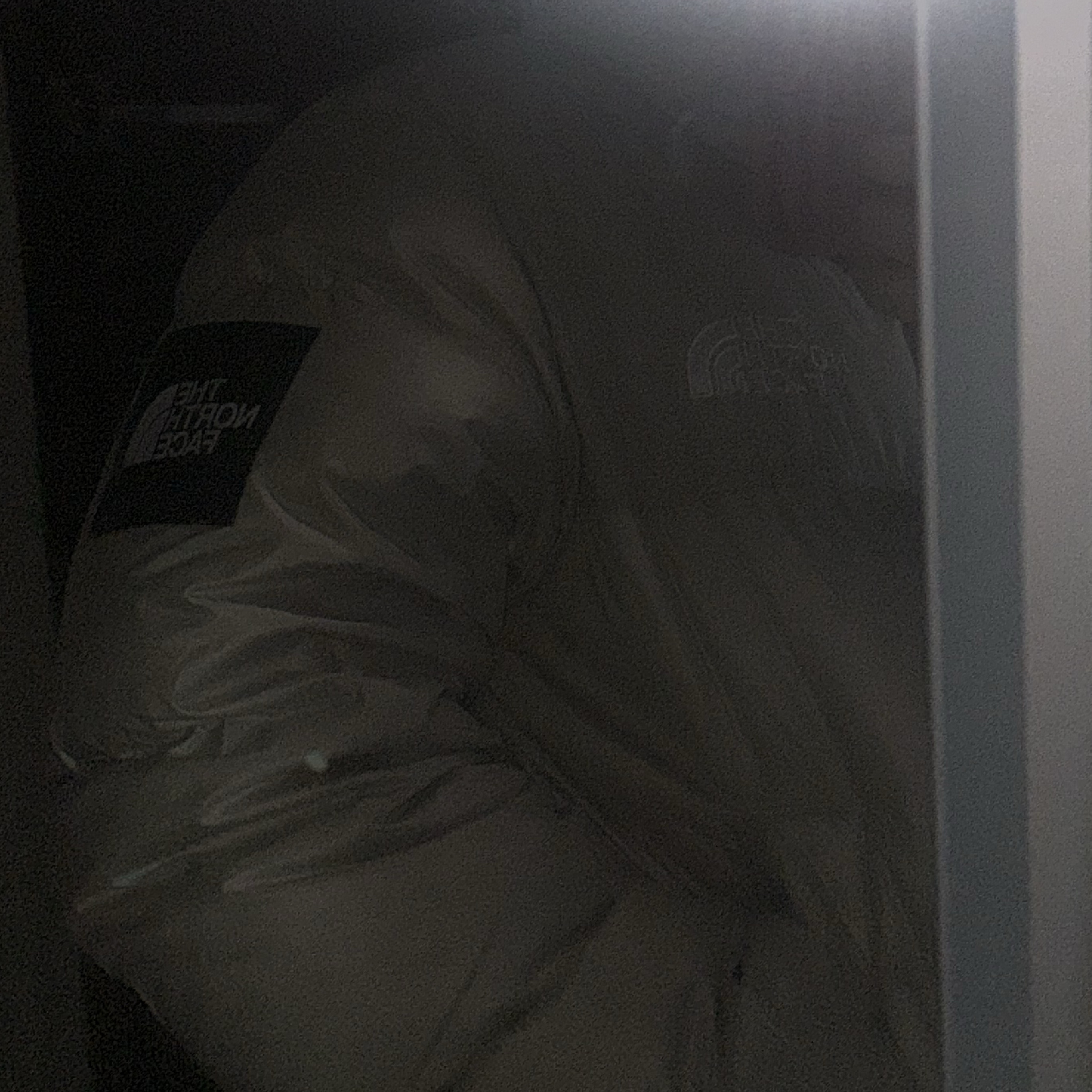 (W) The North Face White Label Novelty Nuptse Down Jacket Cream Beige 착용 스타일 - 2