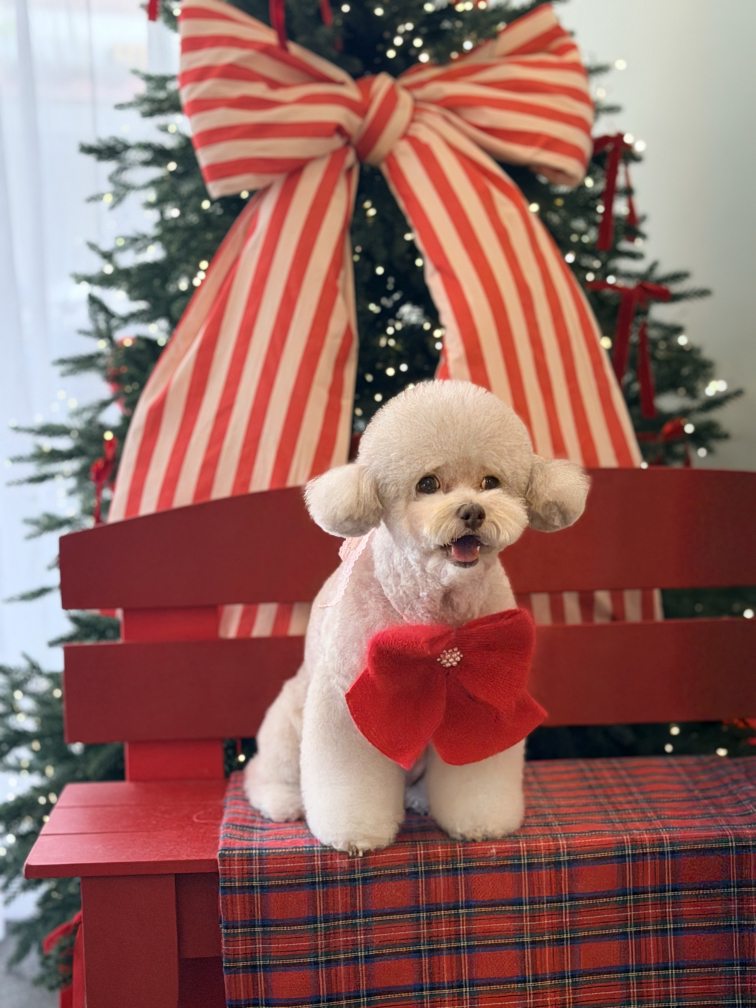 관심 유저 프로필 이미지