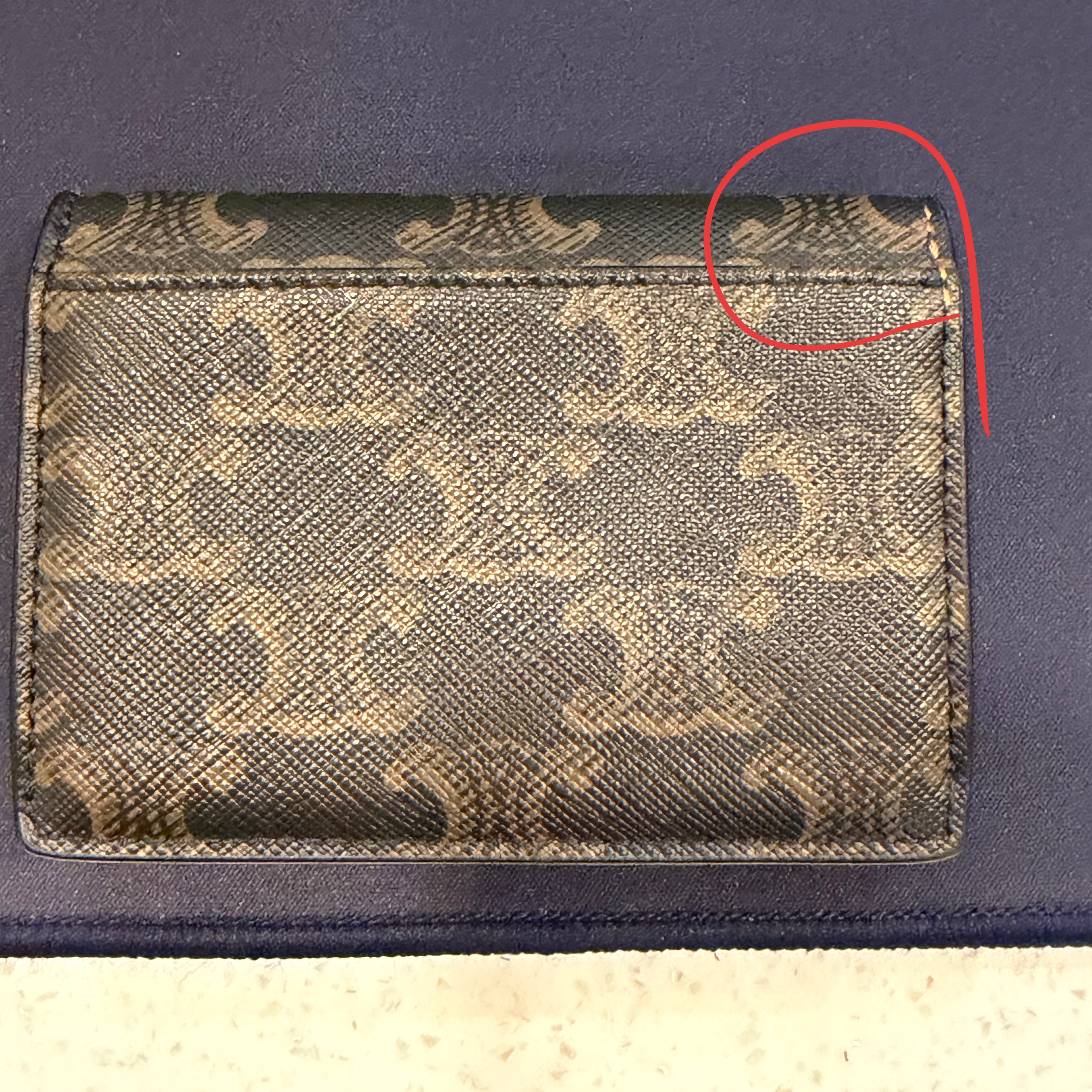 Celine Card Holder with Flap in Triomphe Canvas Tan 착용 스타일