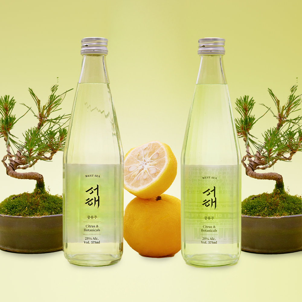 [설 선물 패키지] 류 증류소서해 지거 패키지 (쇼핑백 포함)([설 선물 패키지] RYU Distillery West Sea Package) - 2