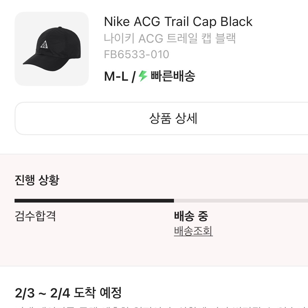 Nike ACG Trail Cap Black 착용 스타일