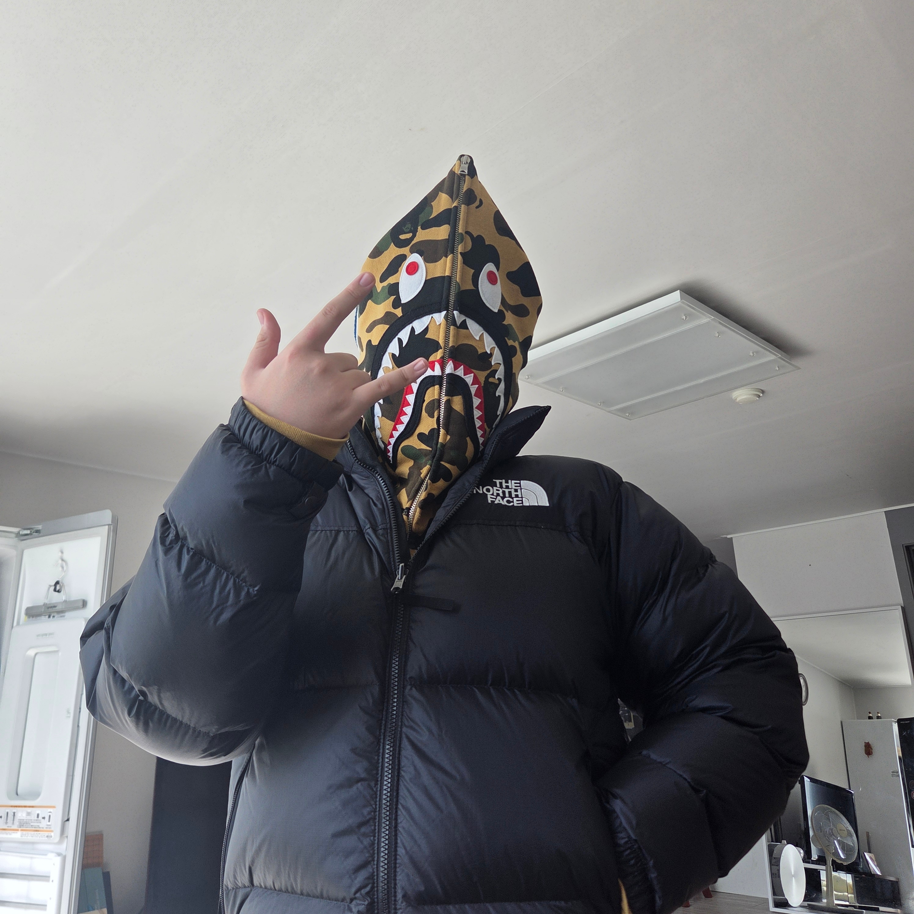The North Face 1996 Retro Nuptse Jacket Black - 25FW, BAPE 1st Camo Shark Full Zip Hoodie Yellow 착용 스타일