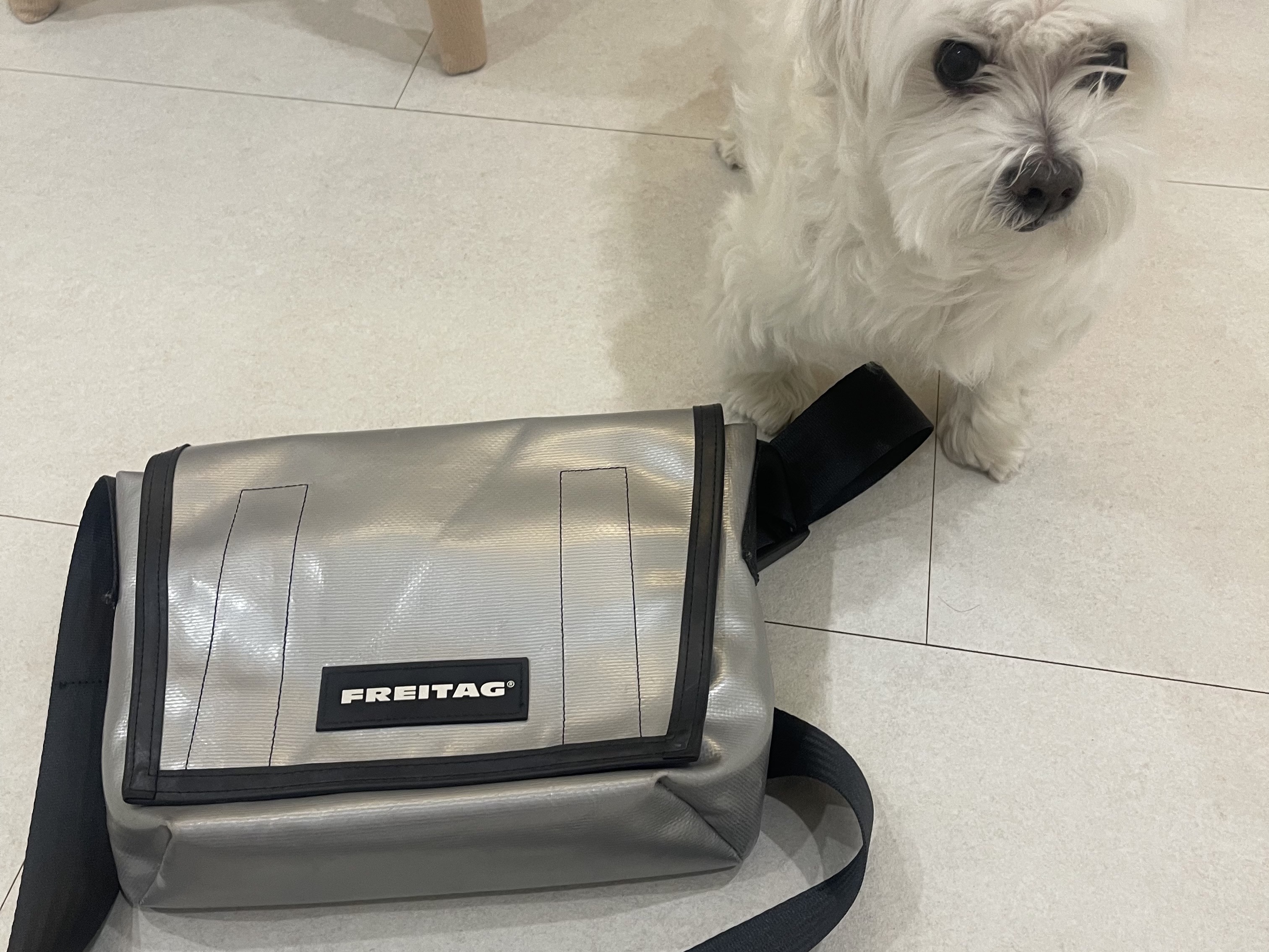 FREITAG Boutique Unisex F11 LASSIE 0704 Cross Bag, FREITAG Boutique Unisex F553 LOU 0087 Shoulder Bag 착용 스타일 - 1