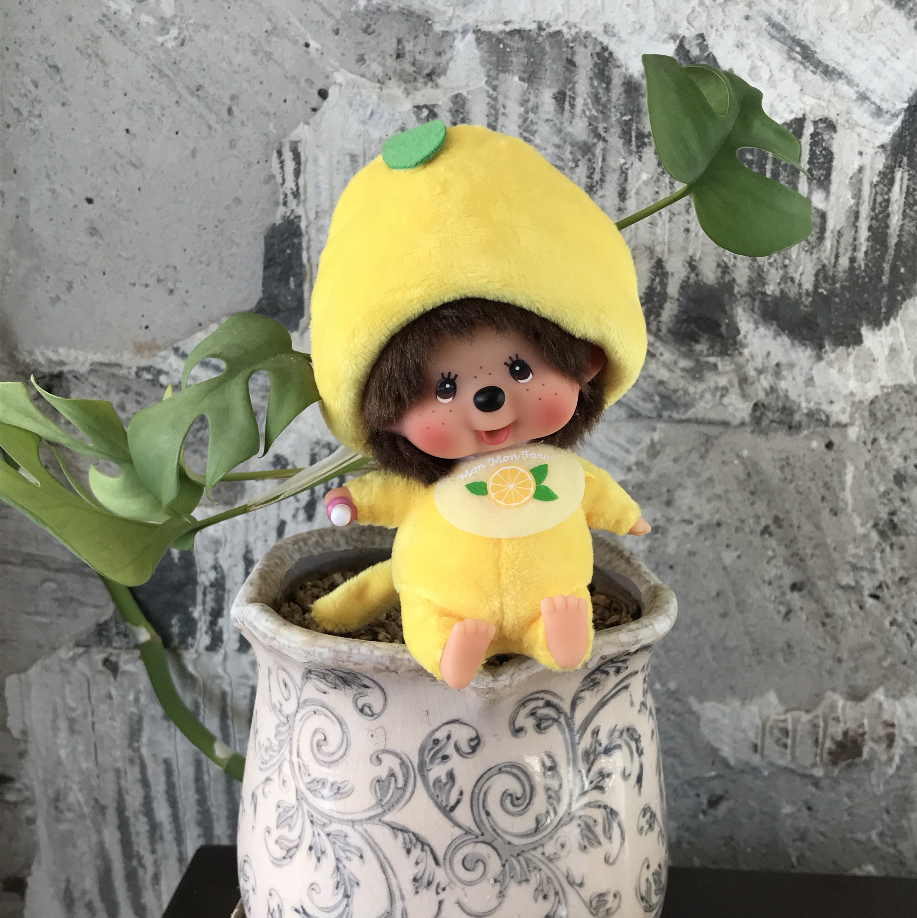 Monchhichi MMF Lemon Big head  SS K/C Boy 착용 스타일 - 4