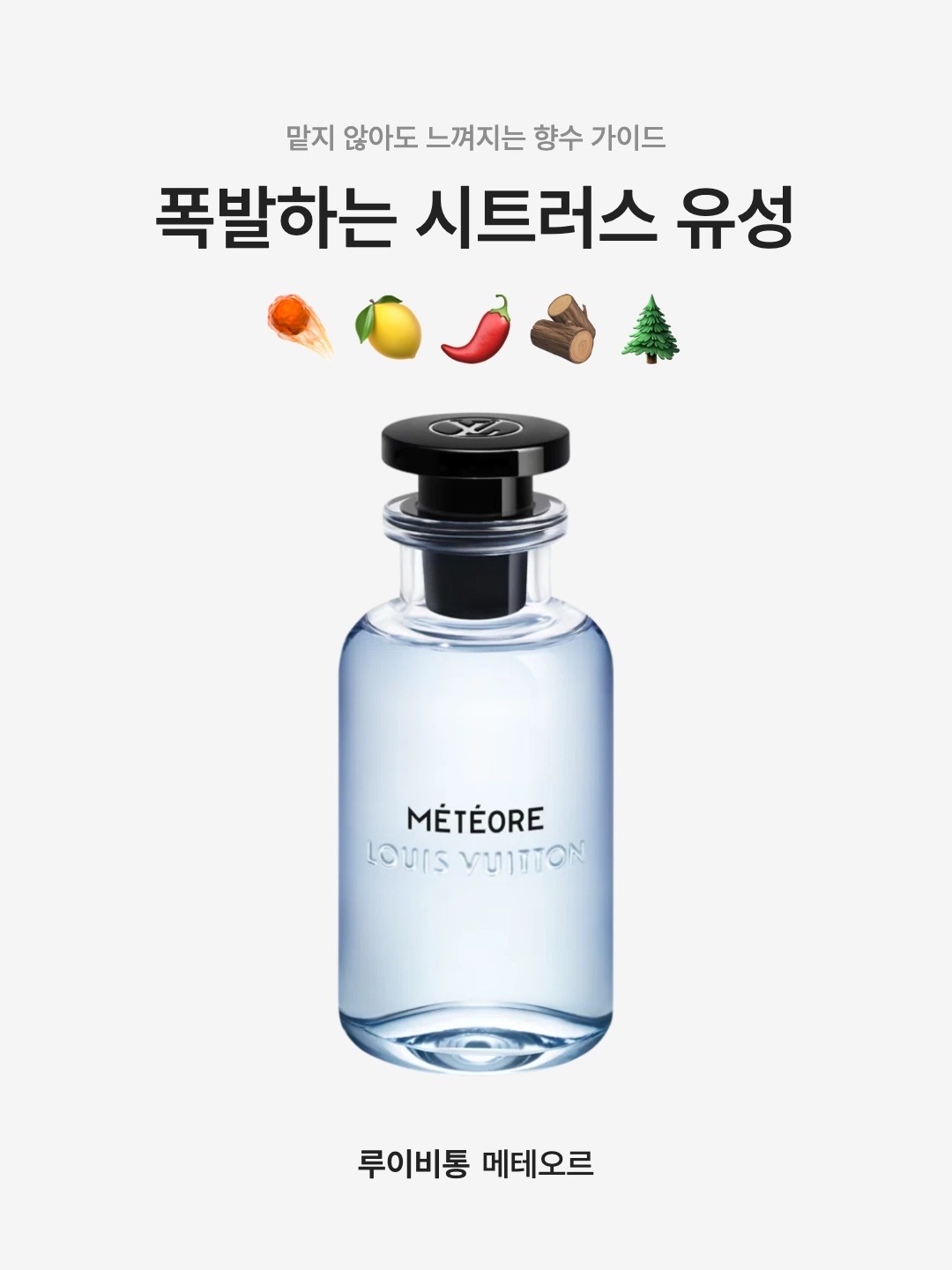 Louis Vuitton Meteore 100ml 착용 스타일 - 1