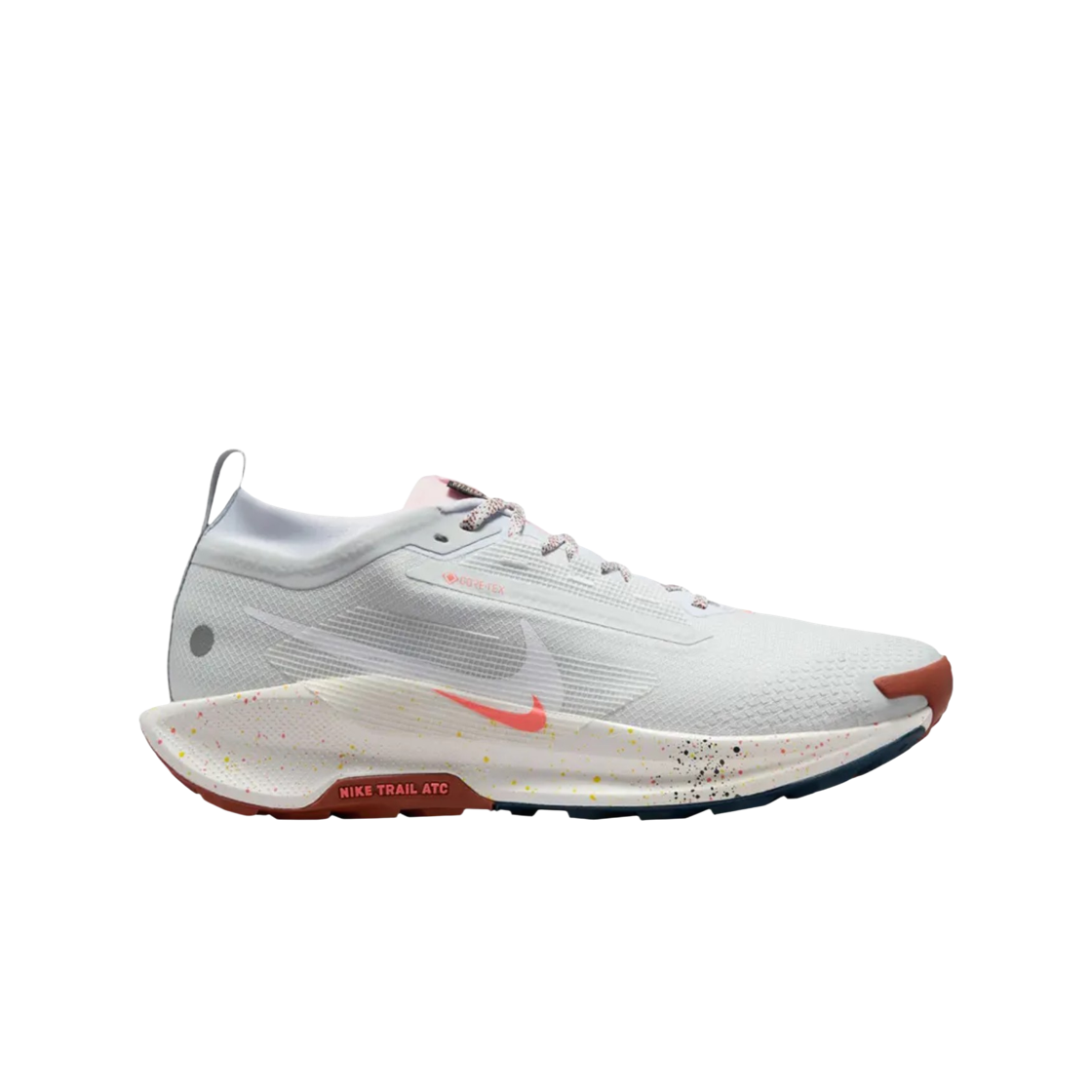 나이키 페가수스 트레일 5 고어텍스 퓨어 플래티넘 풋볼 그레이(Nike Pegasus Trail 5 Gore-Tex Pure Platinum Football Grey) - 1