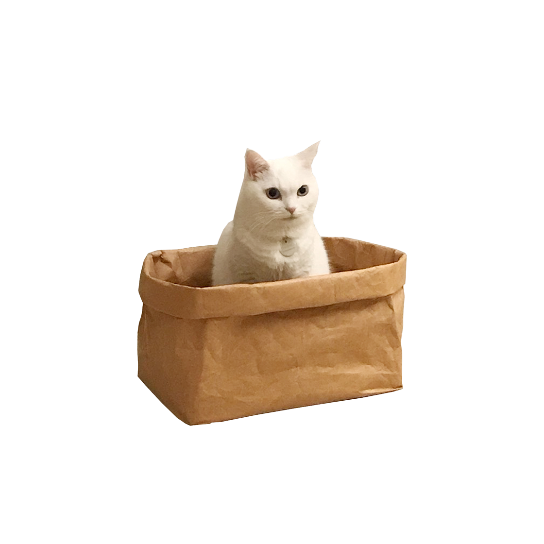 집에가야돼 고양이 타이벡 빵봉투 바스켓(gottagohome Tyvek scratcher basket)