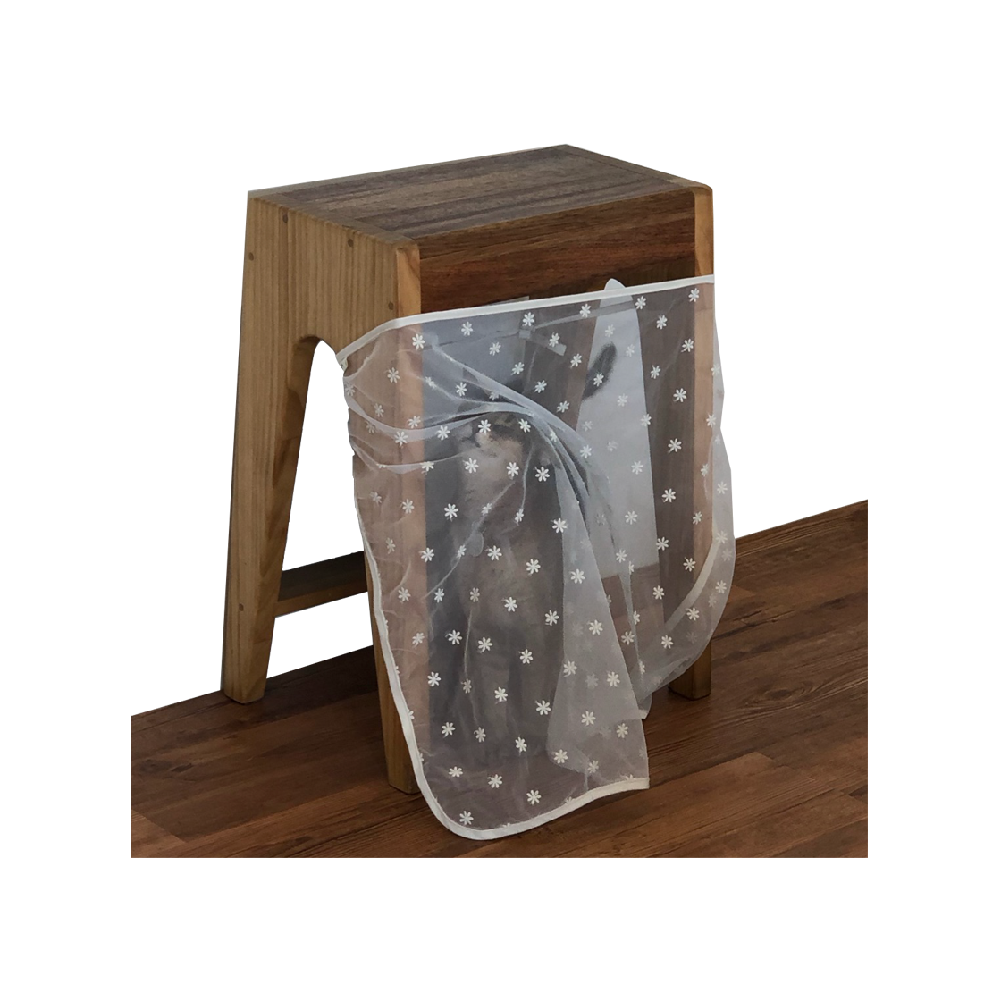 집에가야돼 고양이 투명망토 장난감(Gottagohome Invisible cat cape toy)