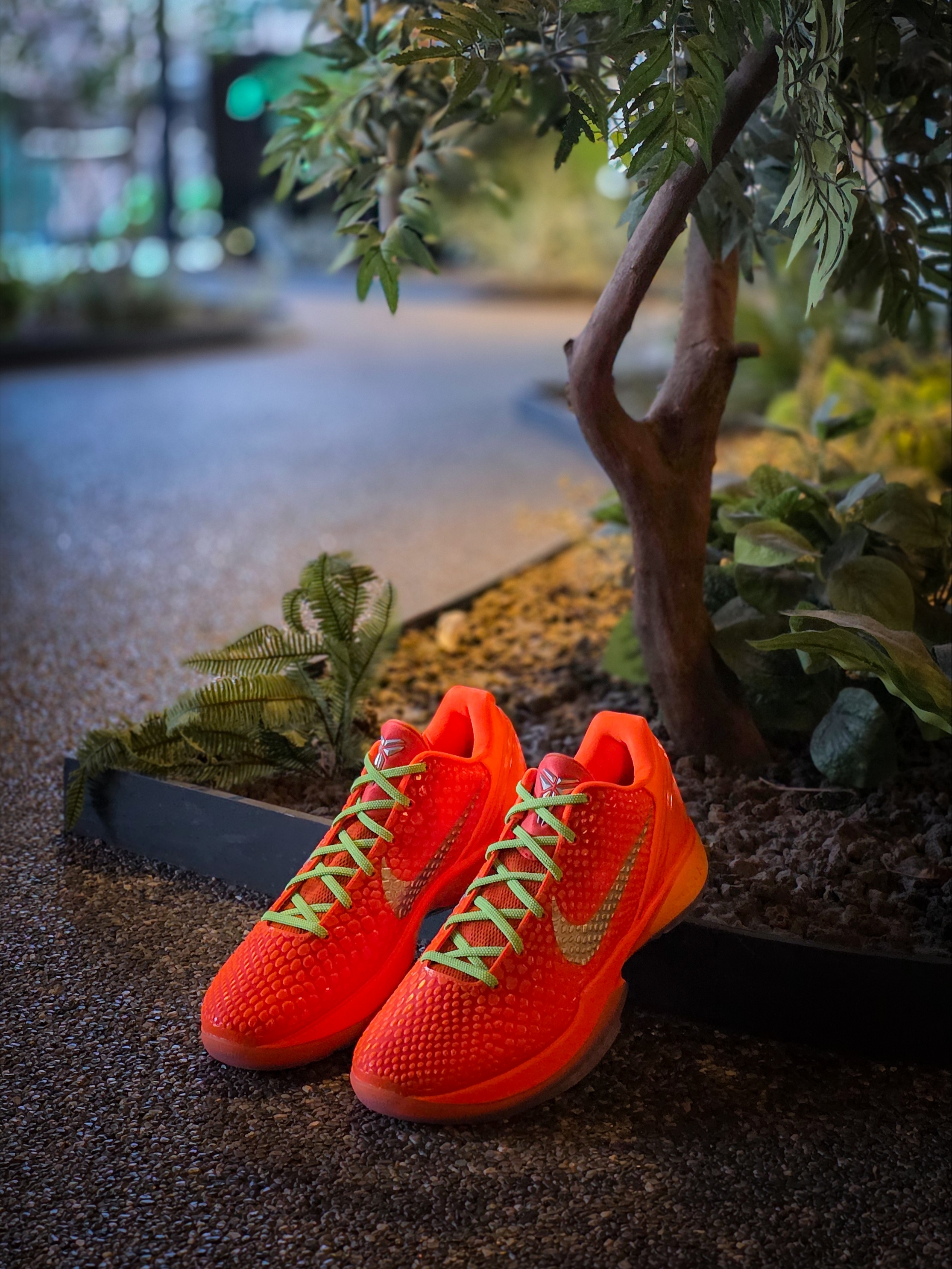 Nike Kobe 6 Protro Total Orange 착용 스타일 - 5