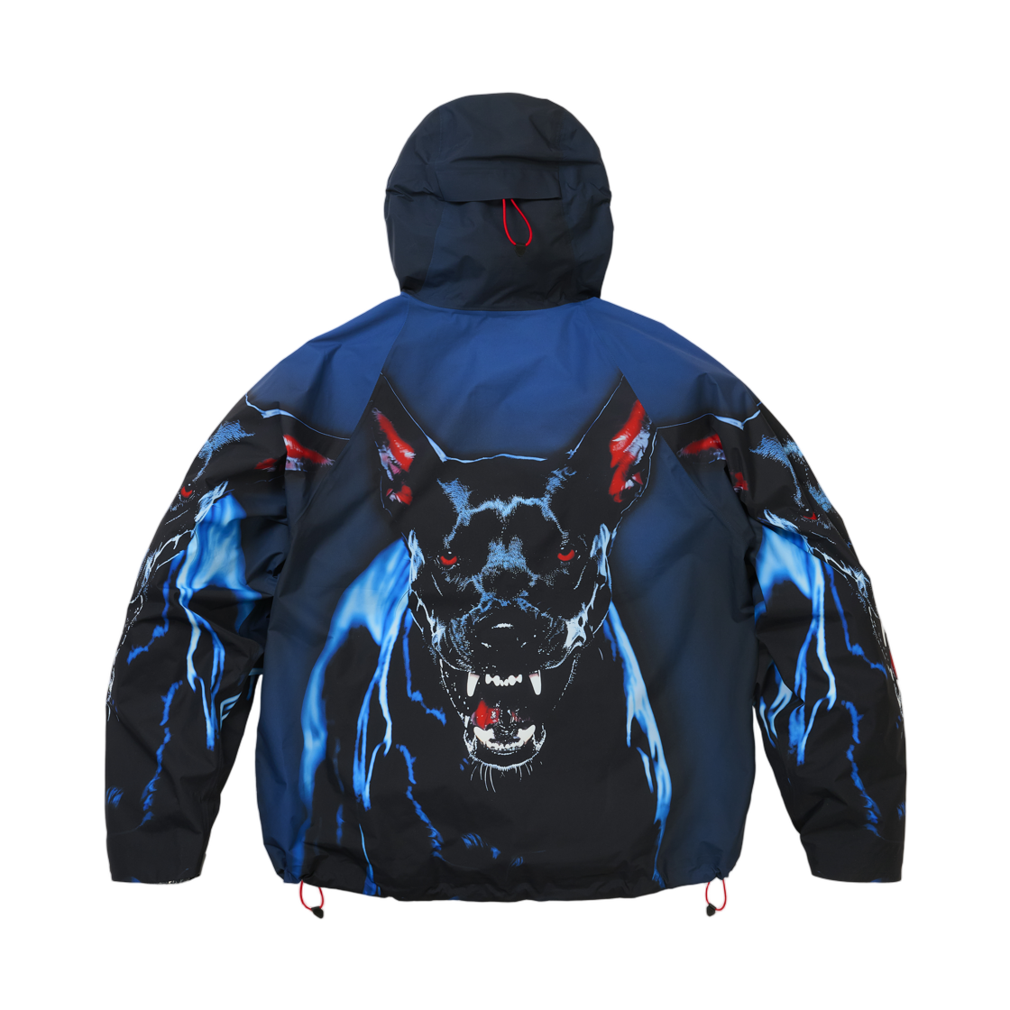 팔라스 고어텍스 2L P-텍 자켓 K-나인 프린트 - 26SS(Palace Gore-Tex 2L P-Tek Jacket K-Nein Print - 26SS) - 2