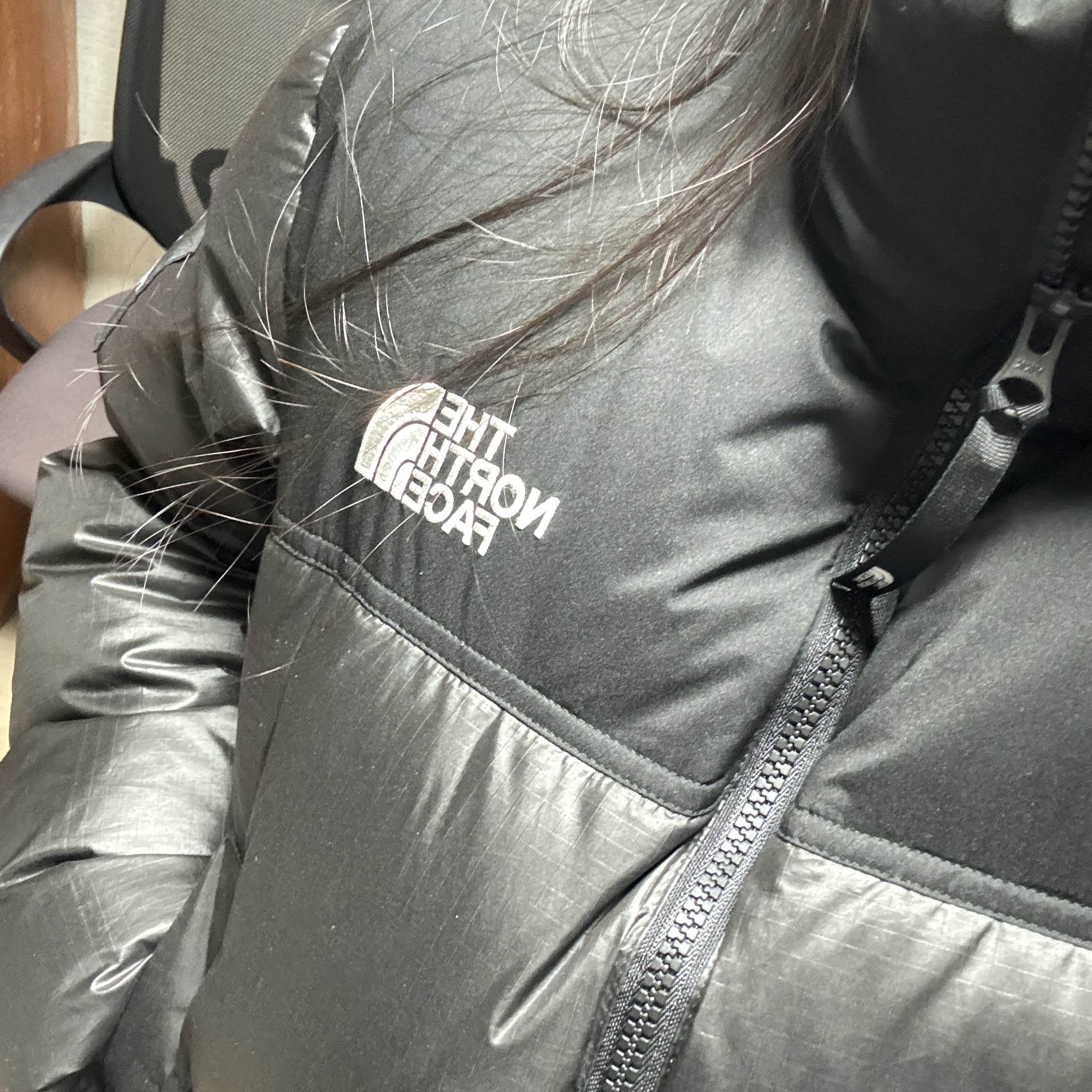 The North Face White Label Novelty Nuptse RDS Down Jacket Black 착용 스타일