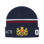 Palace Established Beanie Navy - 26SS