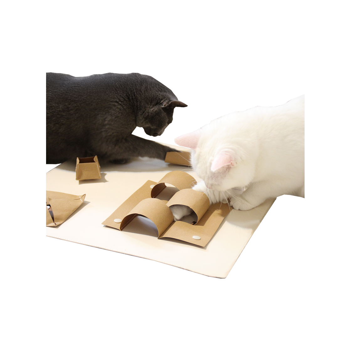 집에가야돼 캐치하다 고양이 먹이퍼즐 - 천연펄프(Gottagohome Cat-ch puzzle toy - Pulp)
