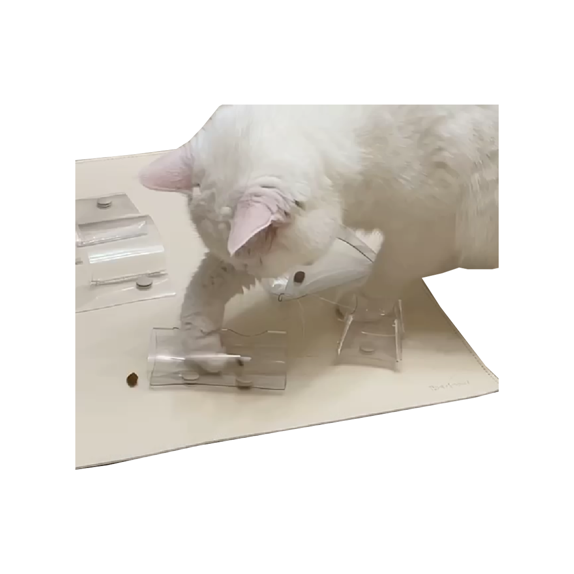 집에가야돼 캐치하다 고양이 먹이퍼즐 - 투명(Gottagohome Cat-ch puzzle toy - PVC)