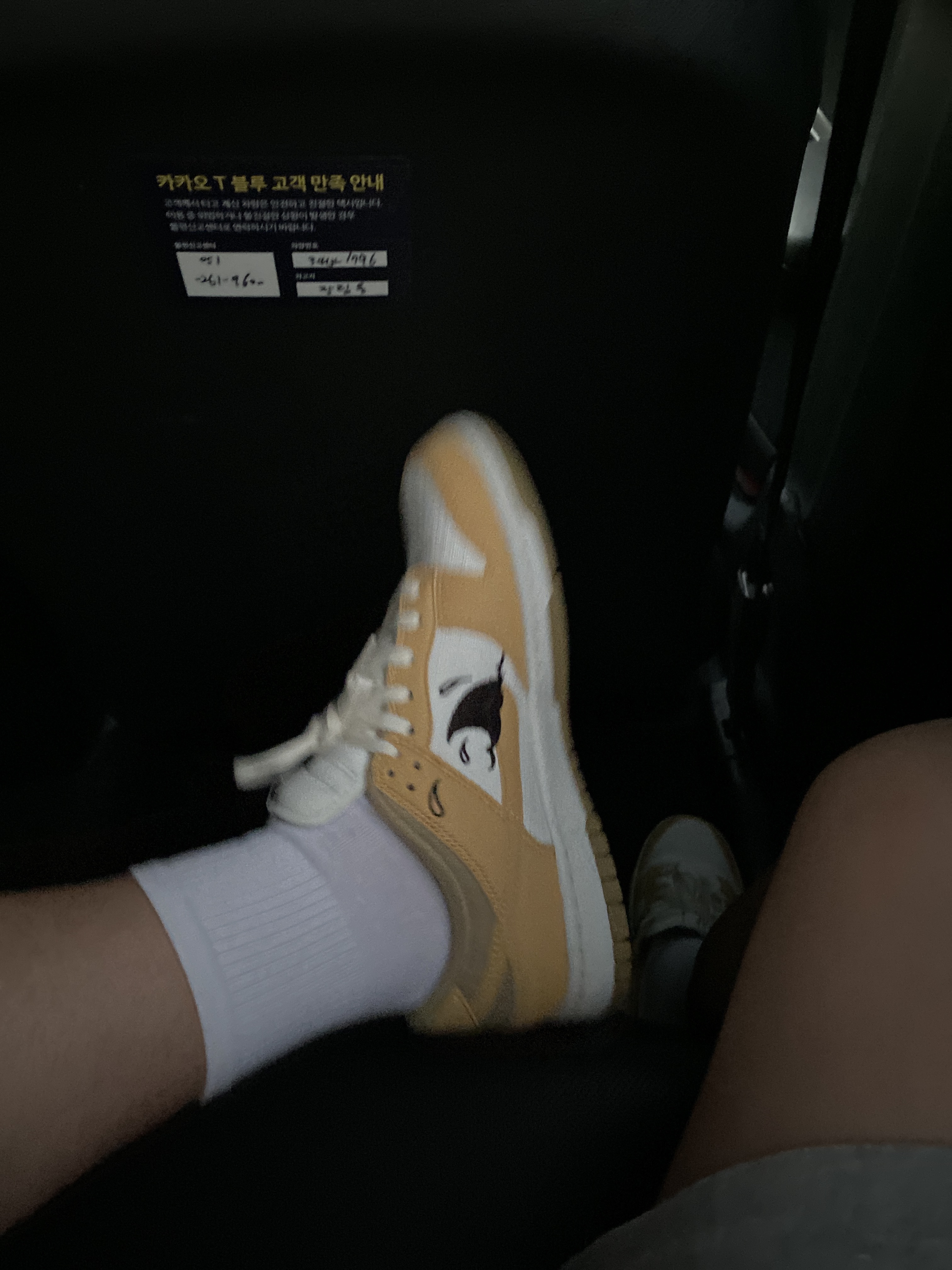 Nike Dunk Low Retro SE Next Nature Nike Sun Club 착용 스타일 - 2