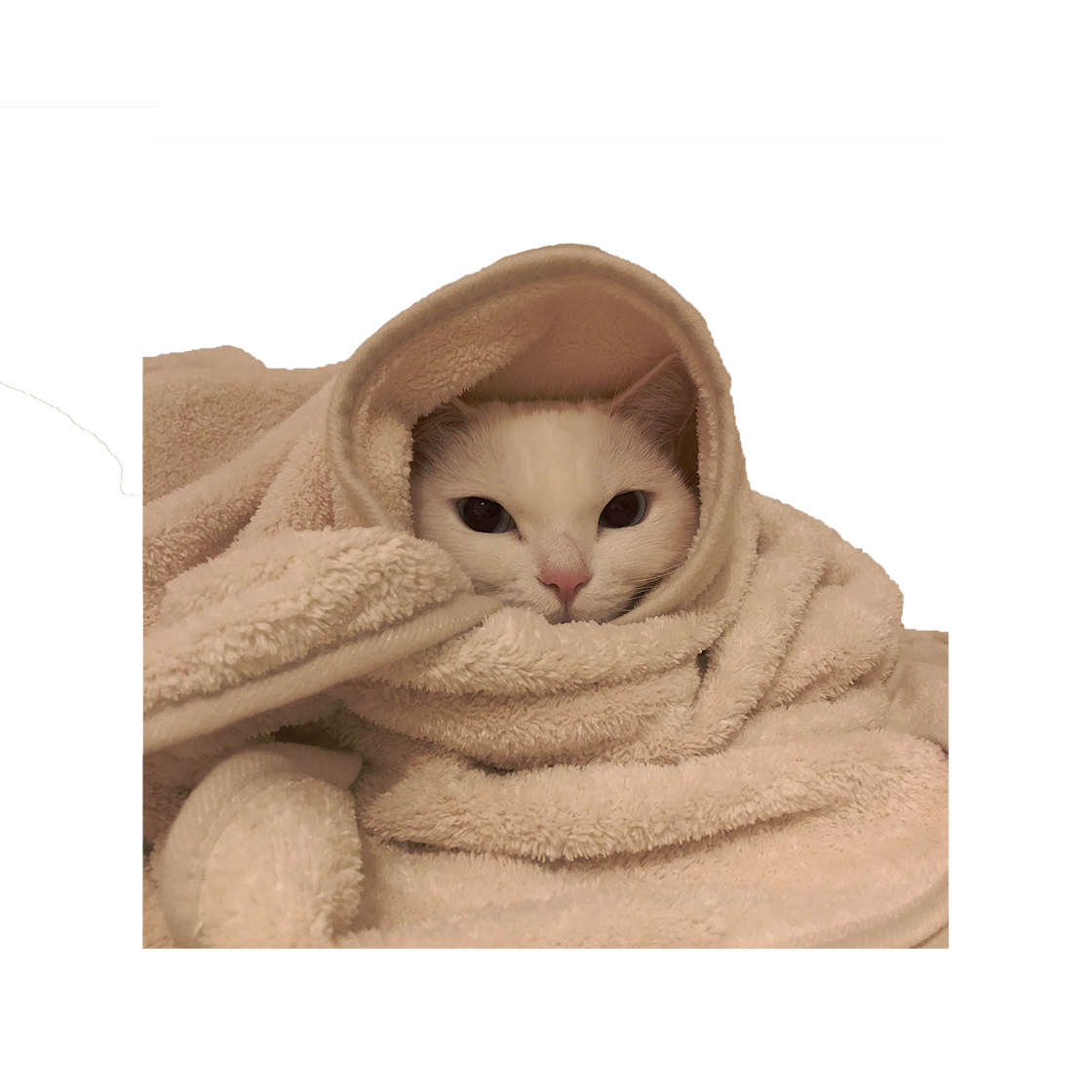 집에가야돼 접어쓰는 꾹꾹이 이불(Gottagohome Fordable Blanket)