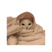 Gottagohome Fordable Blanket