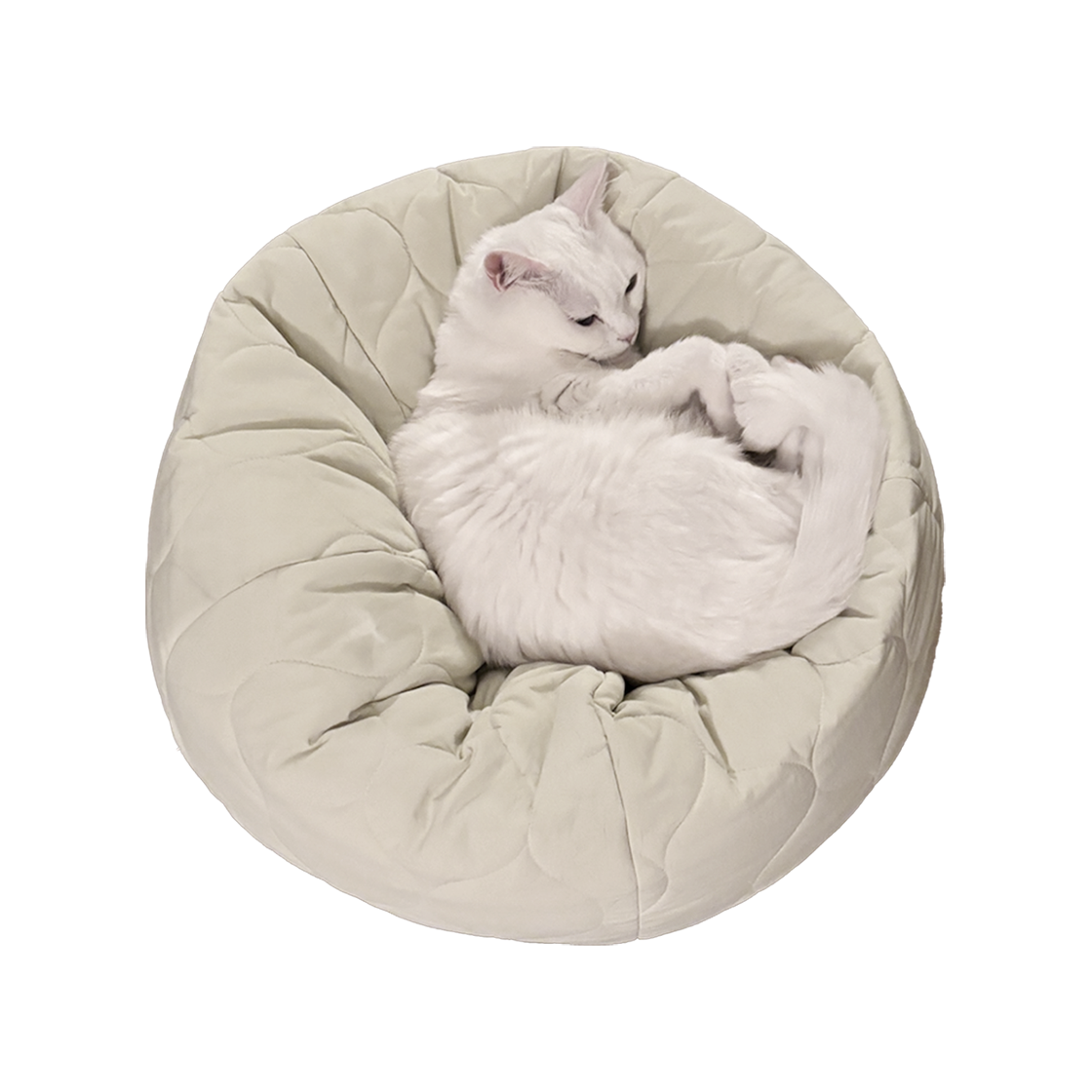 집에가야돼 고양이 누빔 빈백(Gottagohome Padded Cushion - Round)