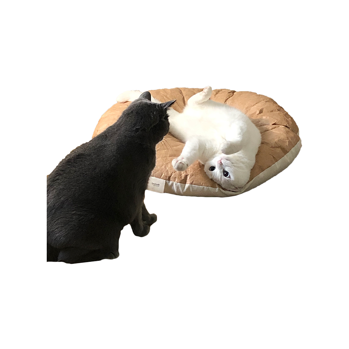 집에가야돼 고양이 타이벡 애착방석 빵방석 - 라운드