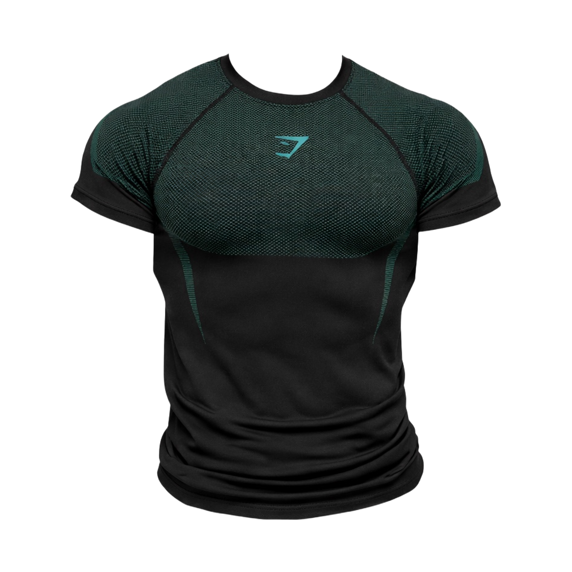 짐샤크 오닉스 5.0 심리스 머슬 핏 티셔츠 블랙 리프트 그린(Gymshark Onyx 5.0 Seamless Muscle Fit T-Shirt Black Lift Green)