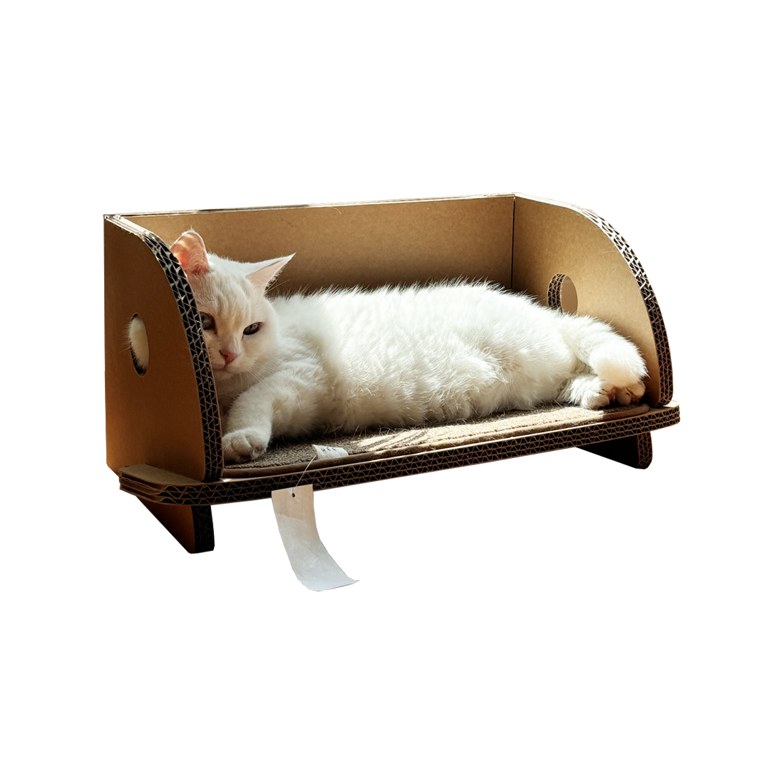 집에가야돼 고양이 책꽂이 스크래쳐(Gottagohome Cat Shelf Scratcher) - 1