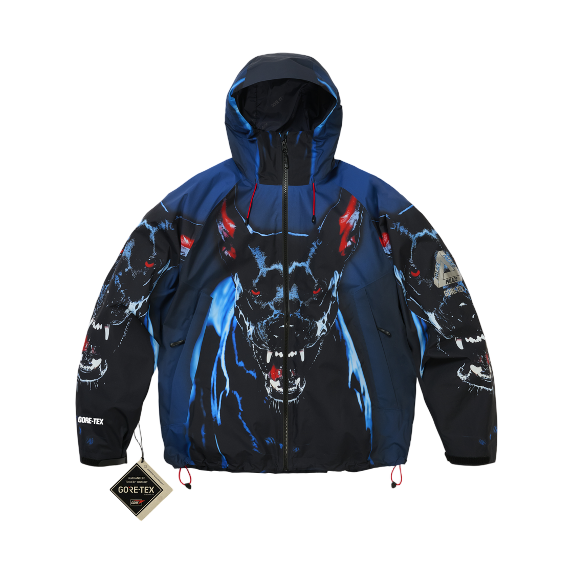 팔라스 고어텍스 2L P-텍 자켓 K-나인 프린트 - 26SS(Palace Gore-Tex 2L P-Tek Jacket K-Nein Print - 26SS) - 1