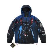 Palace Gore-Tex 2L P-Tek Jacket K-Nein Print - 26SS